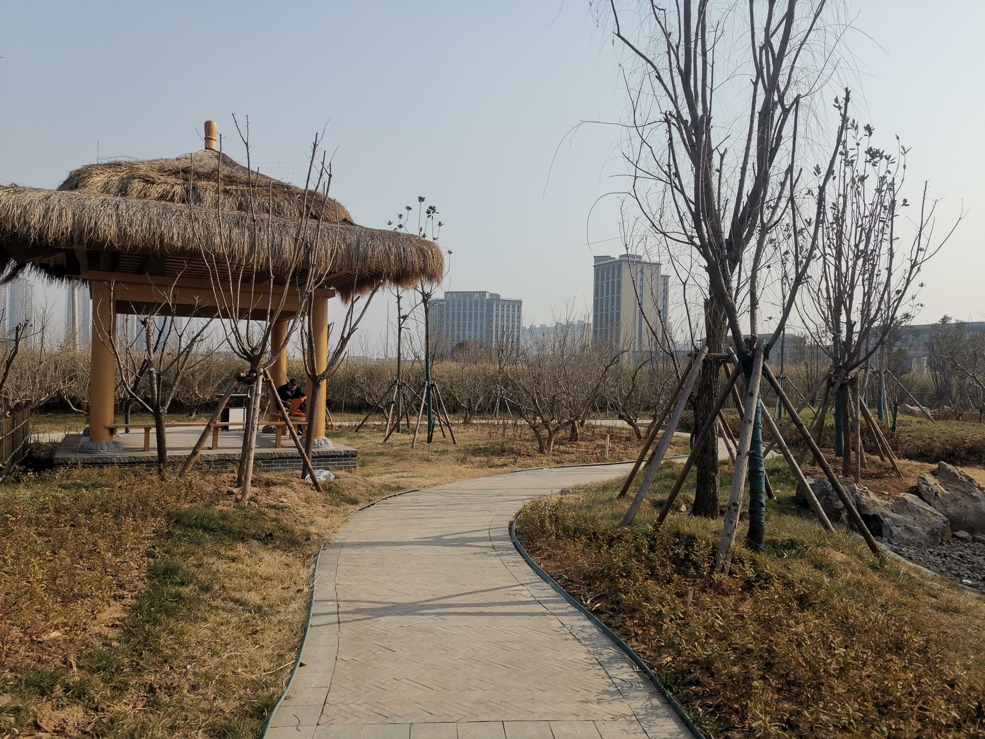 司马光文化园旅行图片