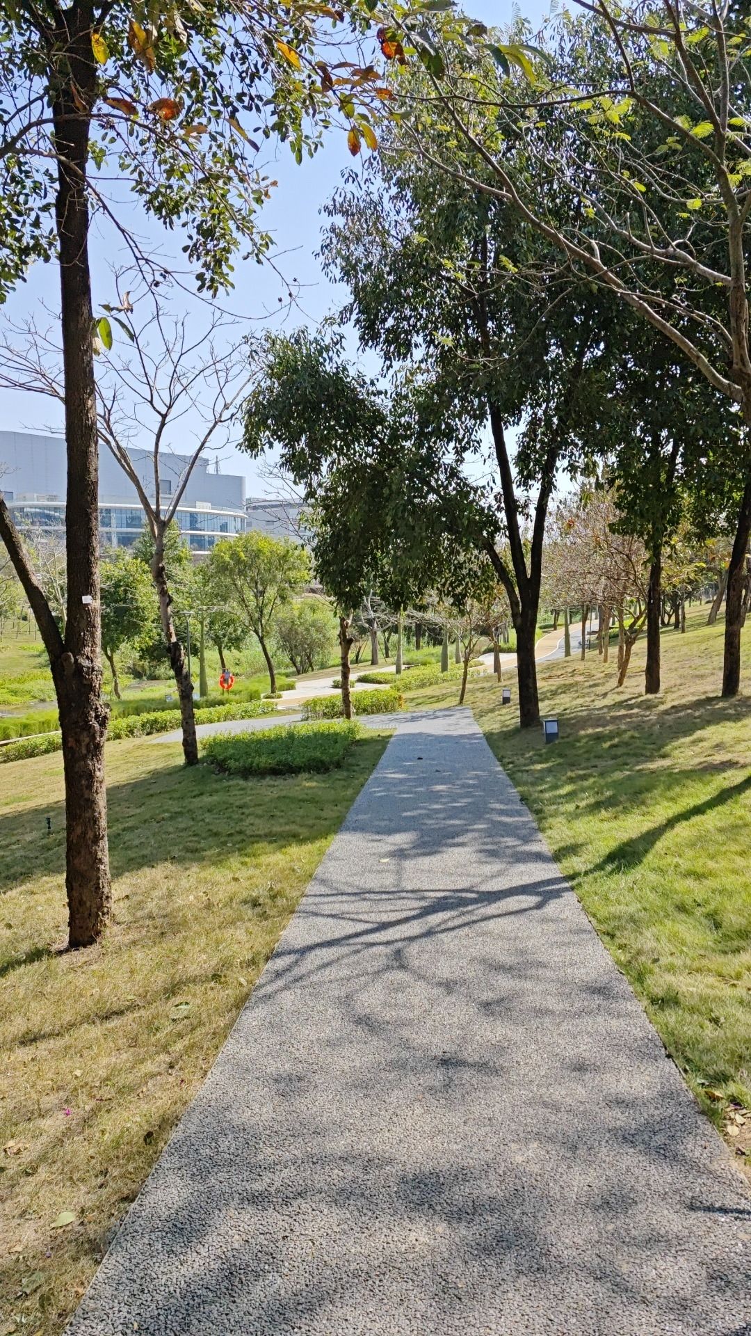 深圳低碳城滨水公园