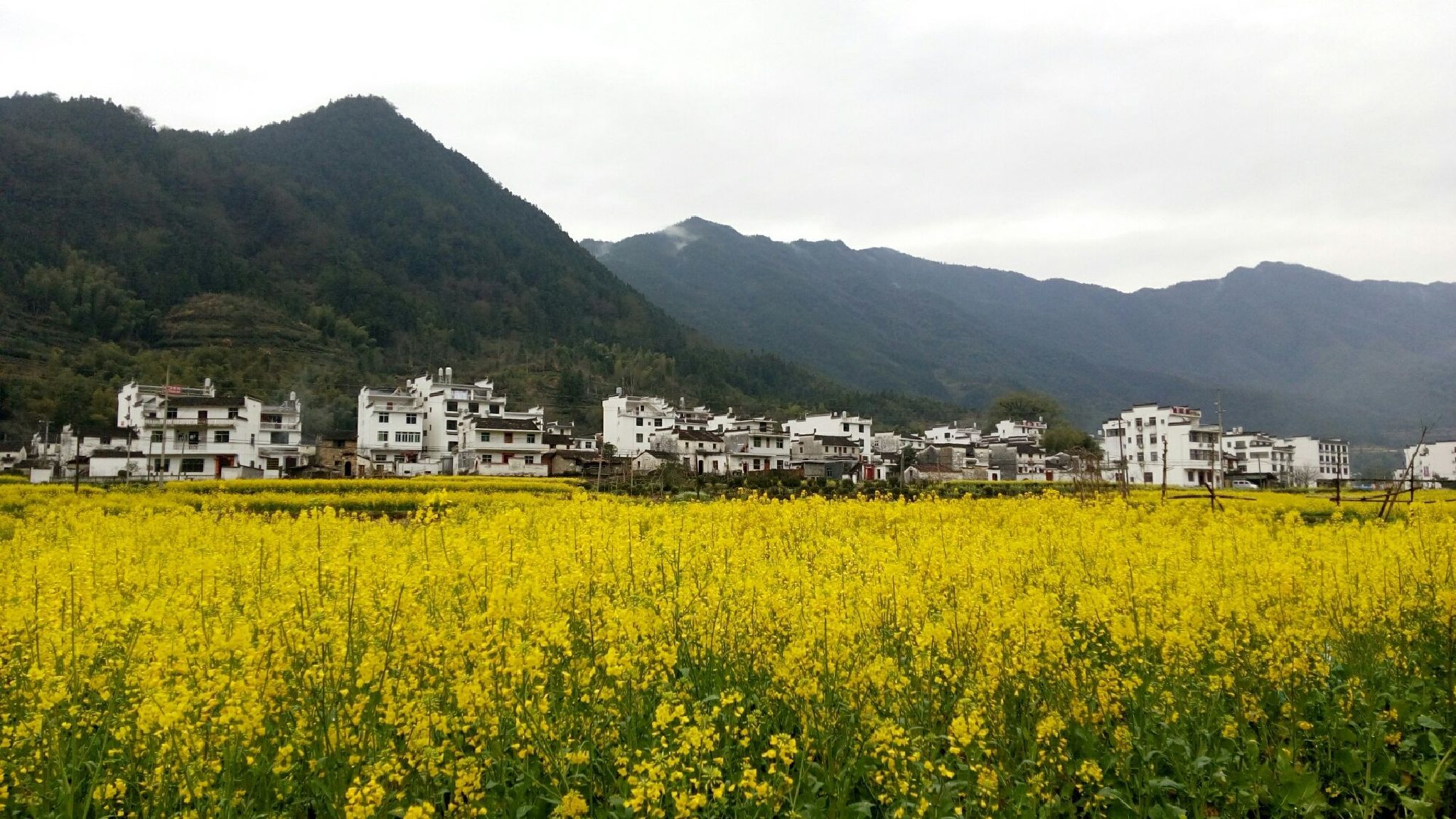 花桥