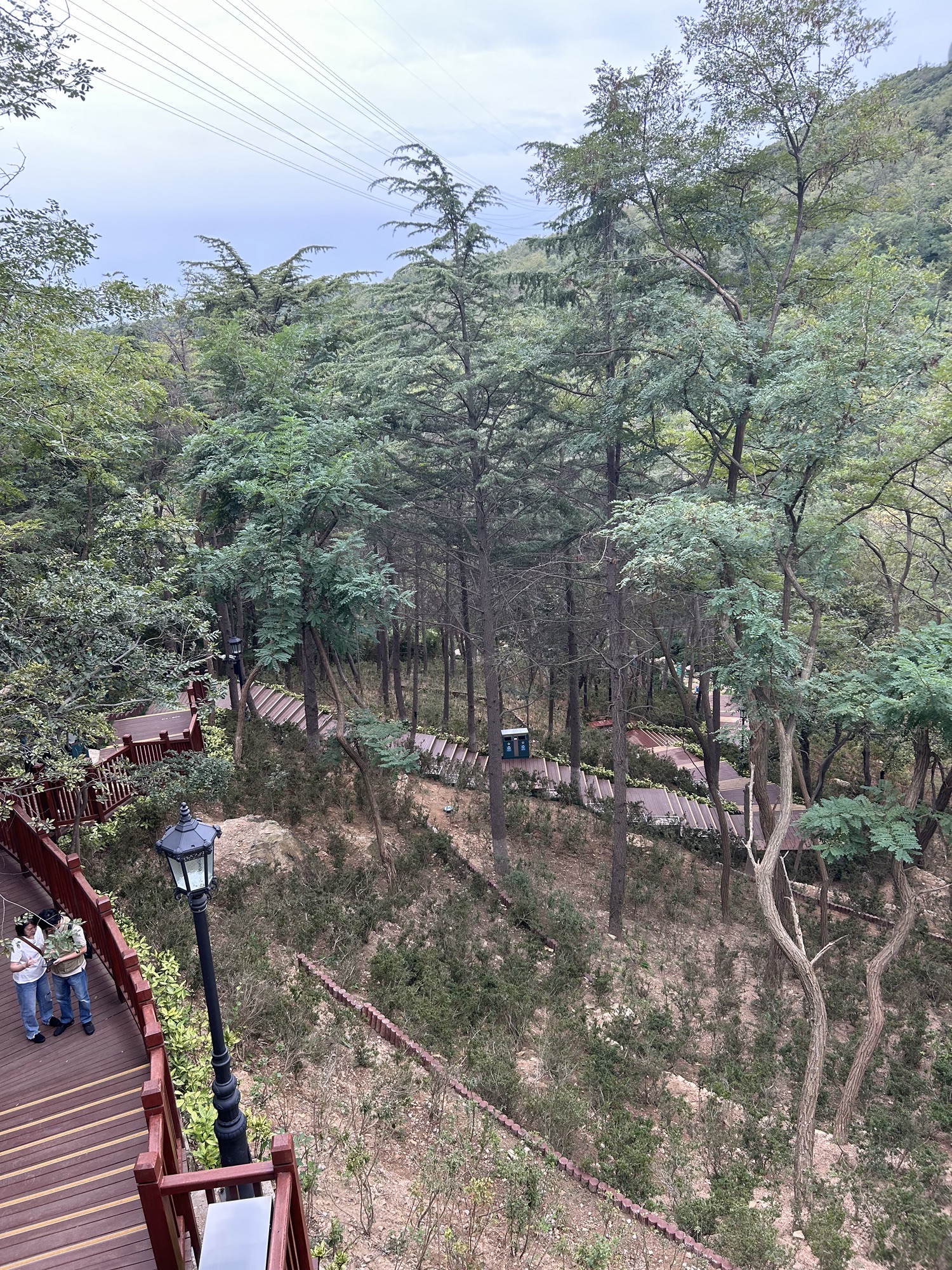 太平山中央公园旅行图片