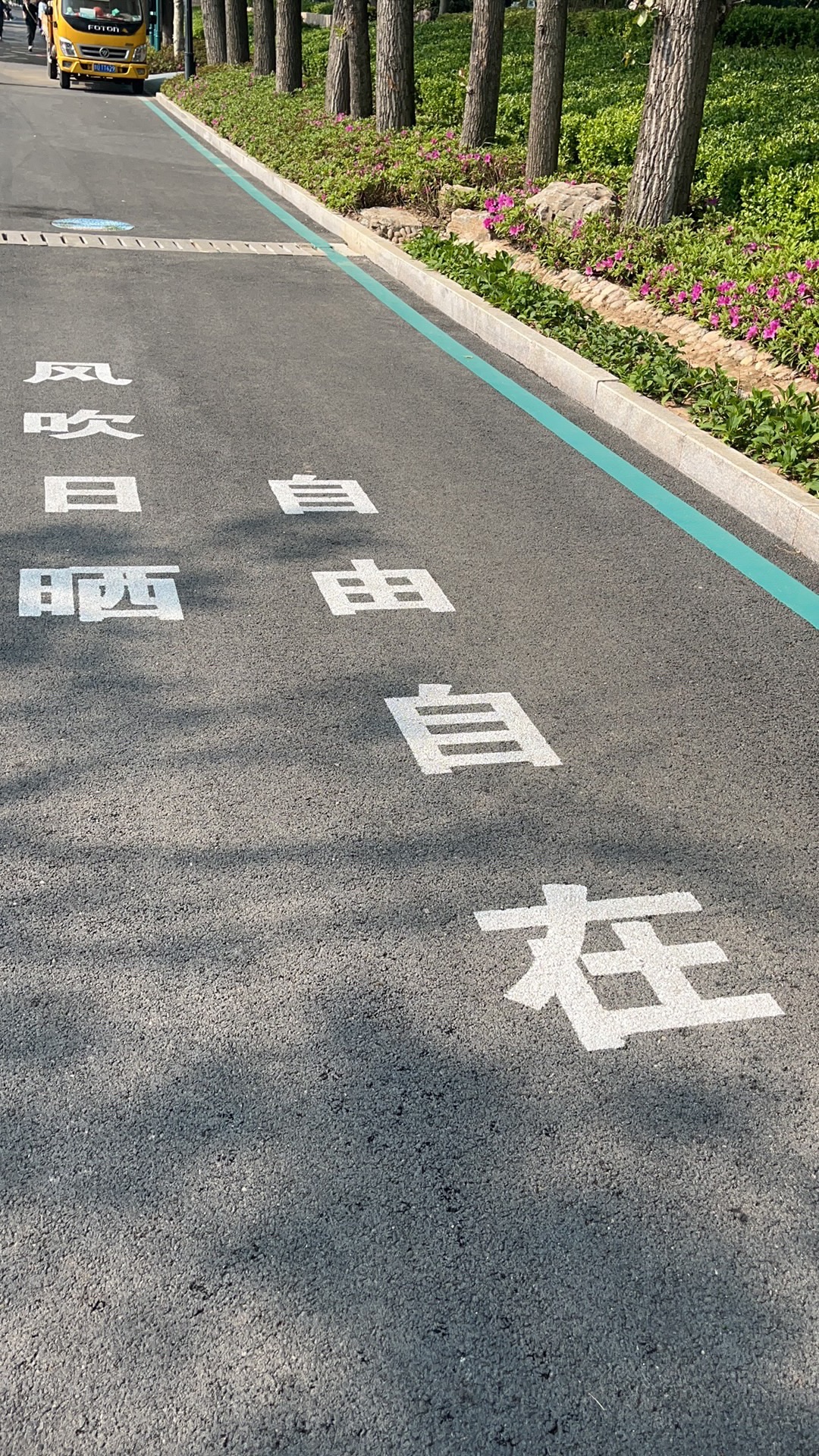 太平山中央公园旅行图片