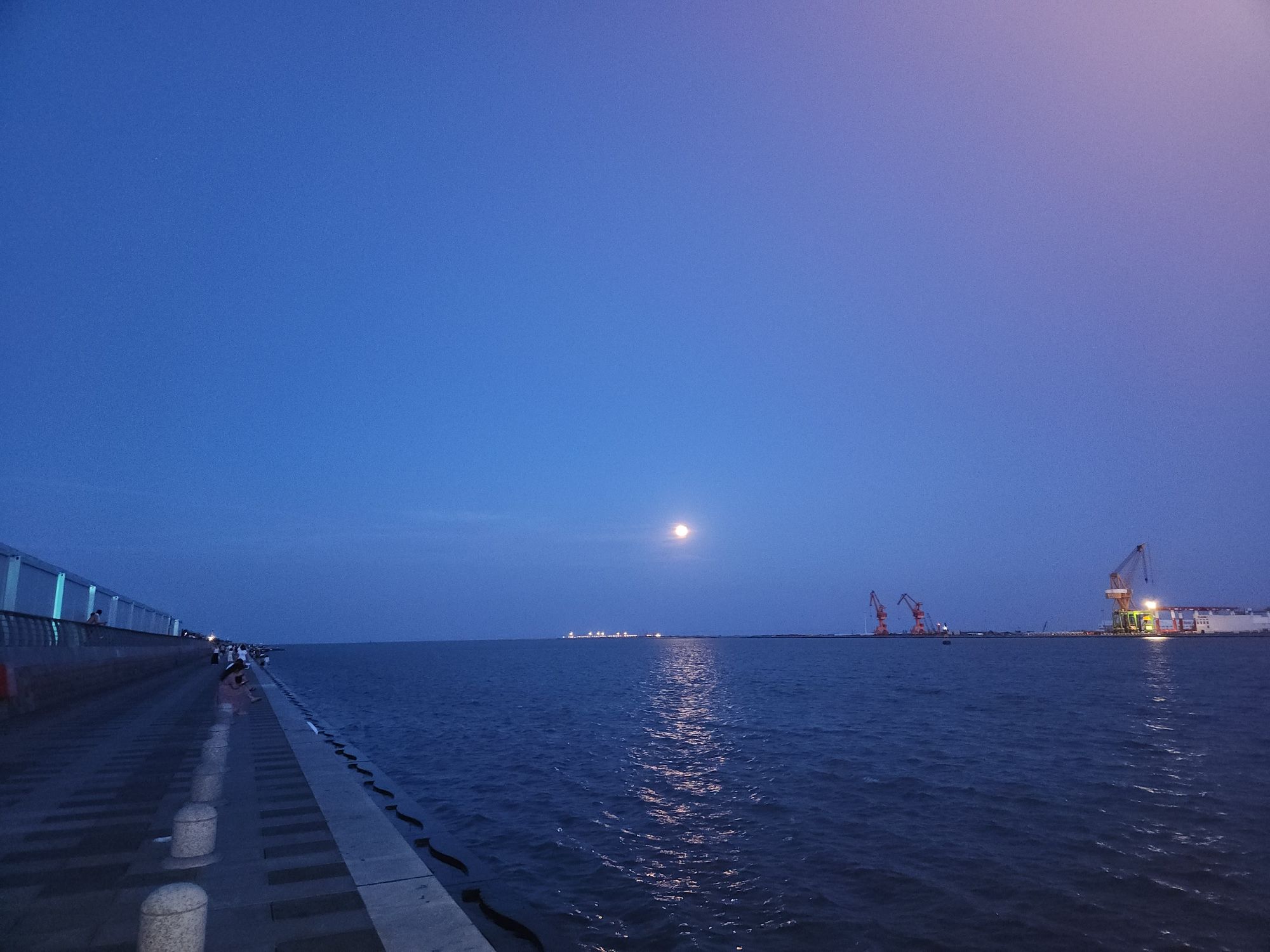 天津临港海岸线公园旅行图片