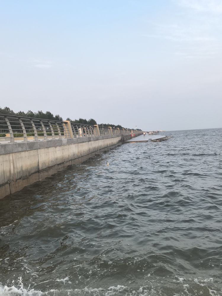 天津临港海岸线公园旅行图片