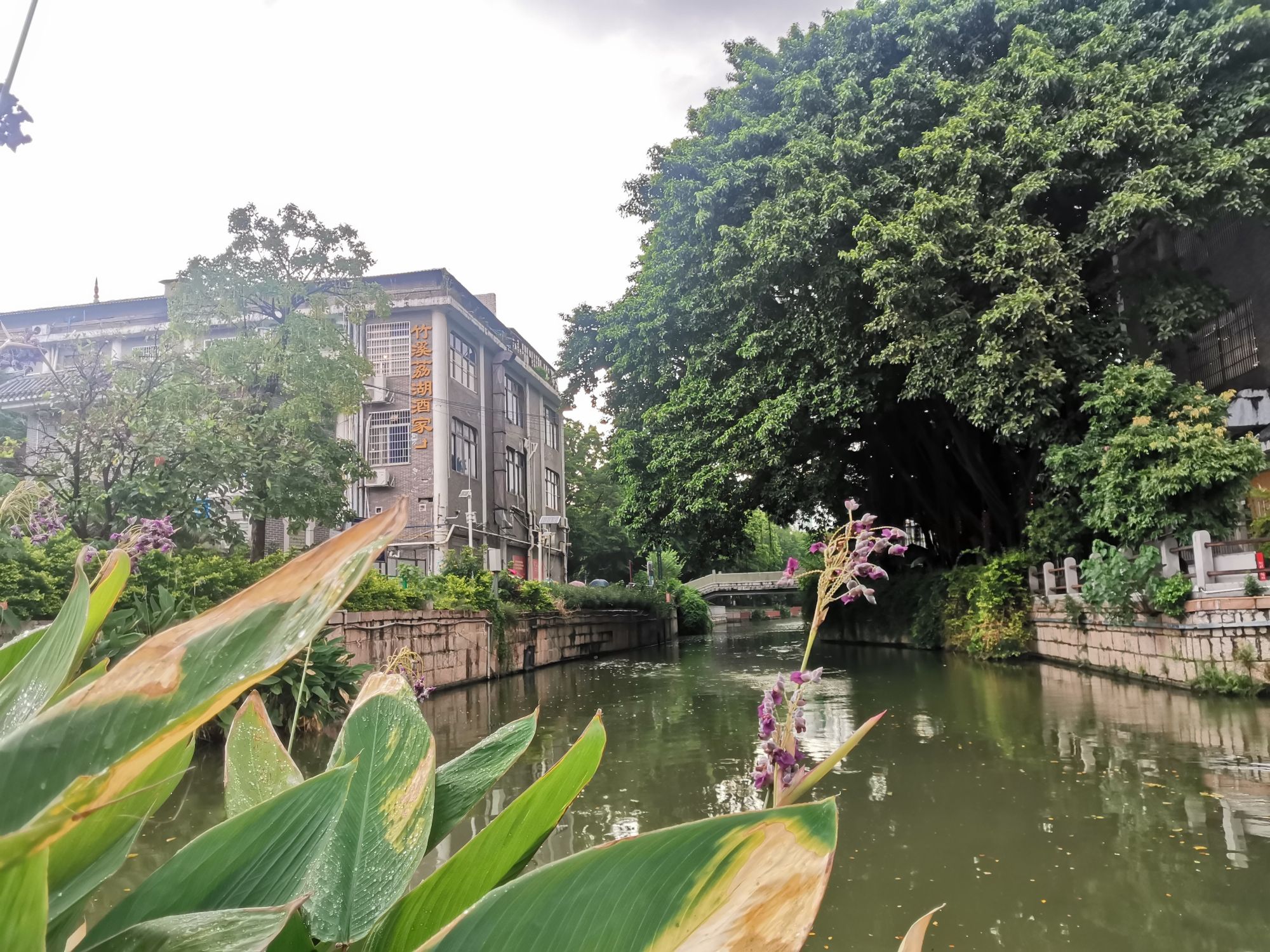 昌华大街历史文化街区旅行图片