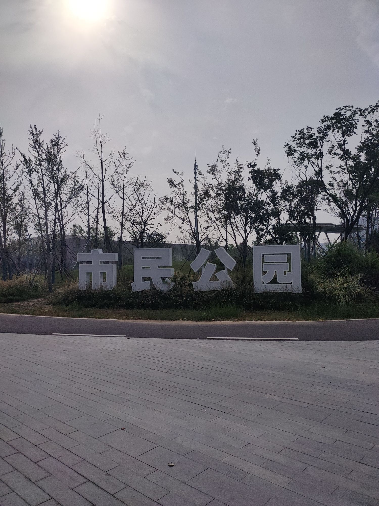 齐河市民公园旅行图片