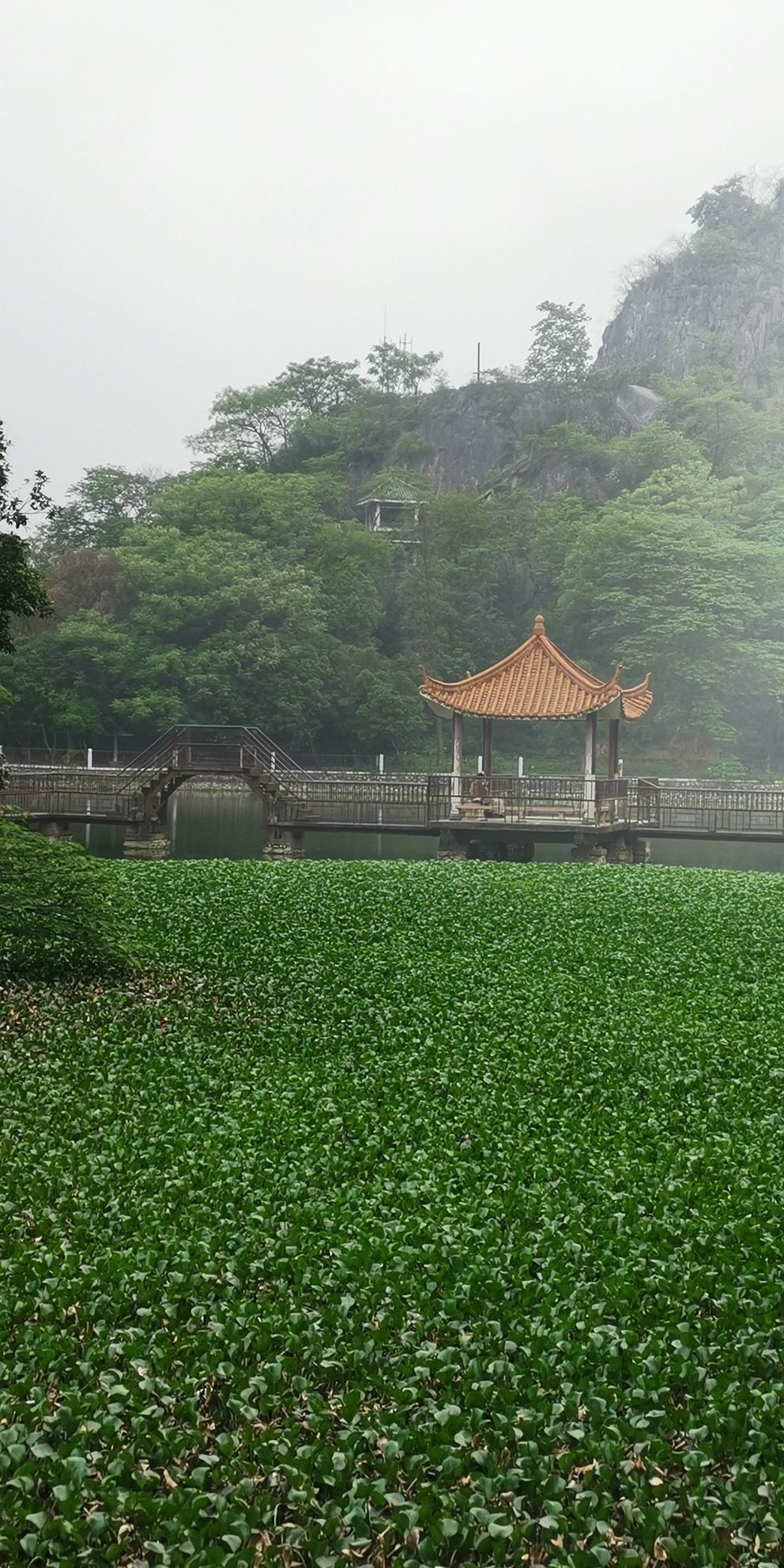 鸭湖公园