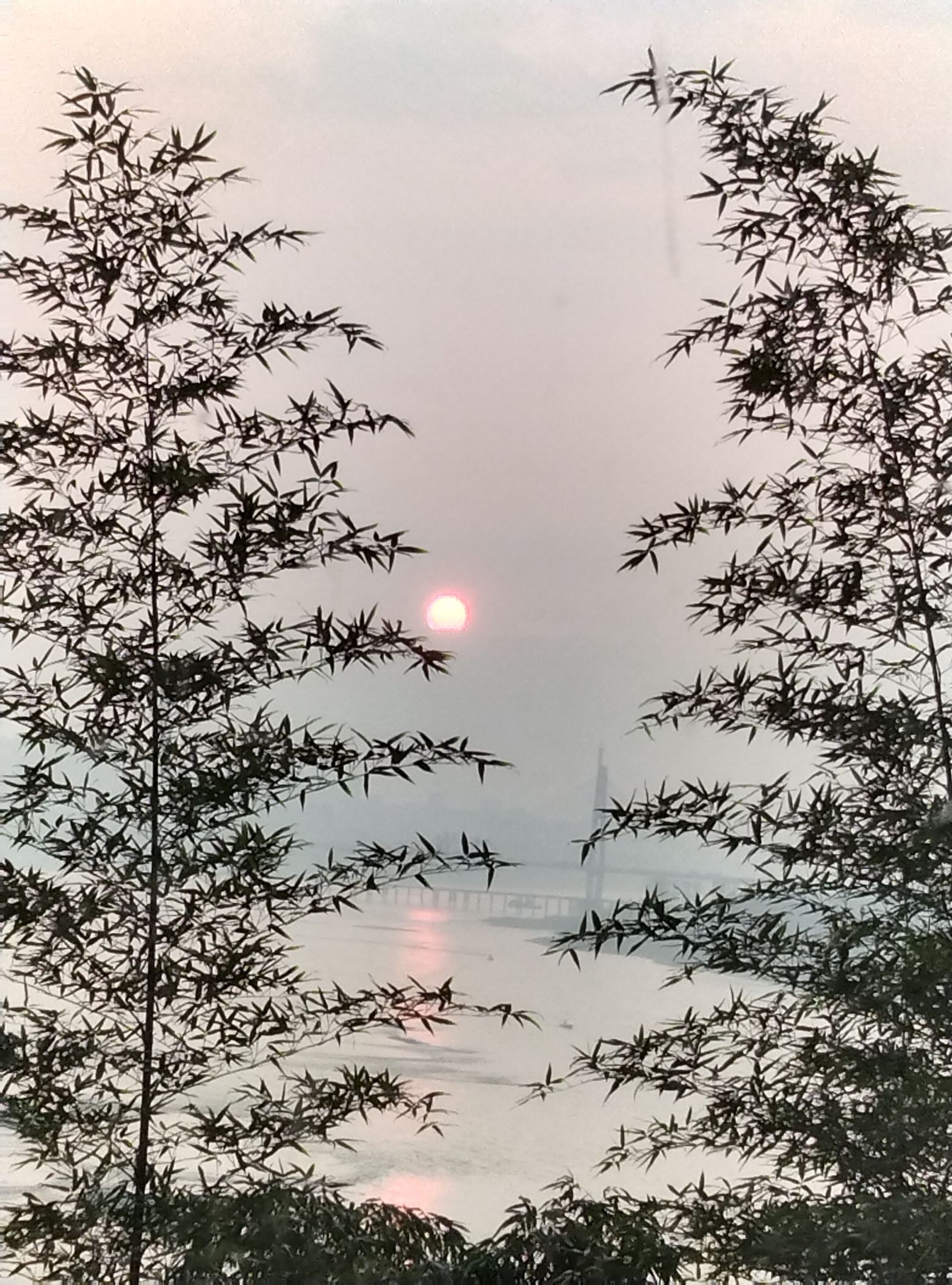 华阳山生态农业观光中心