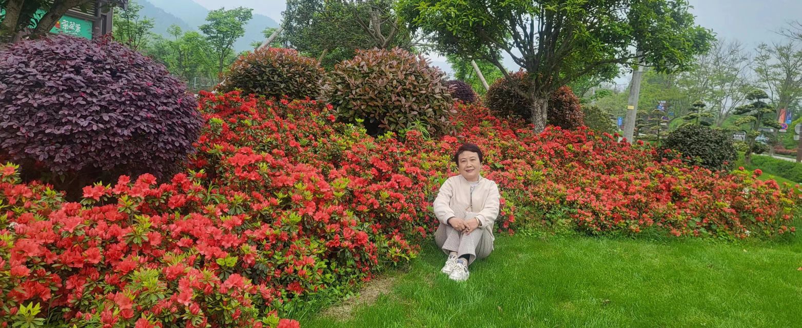 长兴四月天杜鹃花园