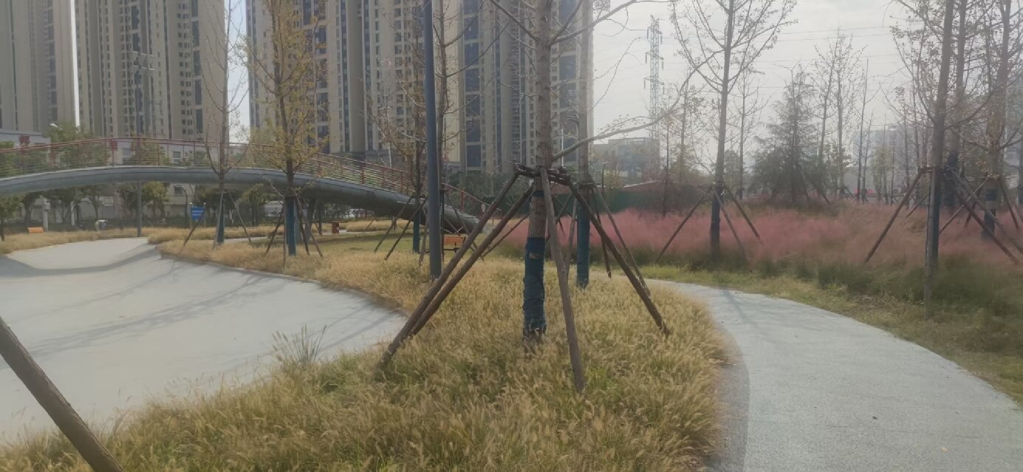 硚口滑板公园