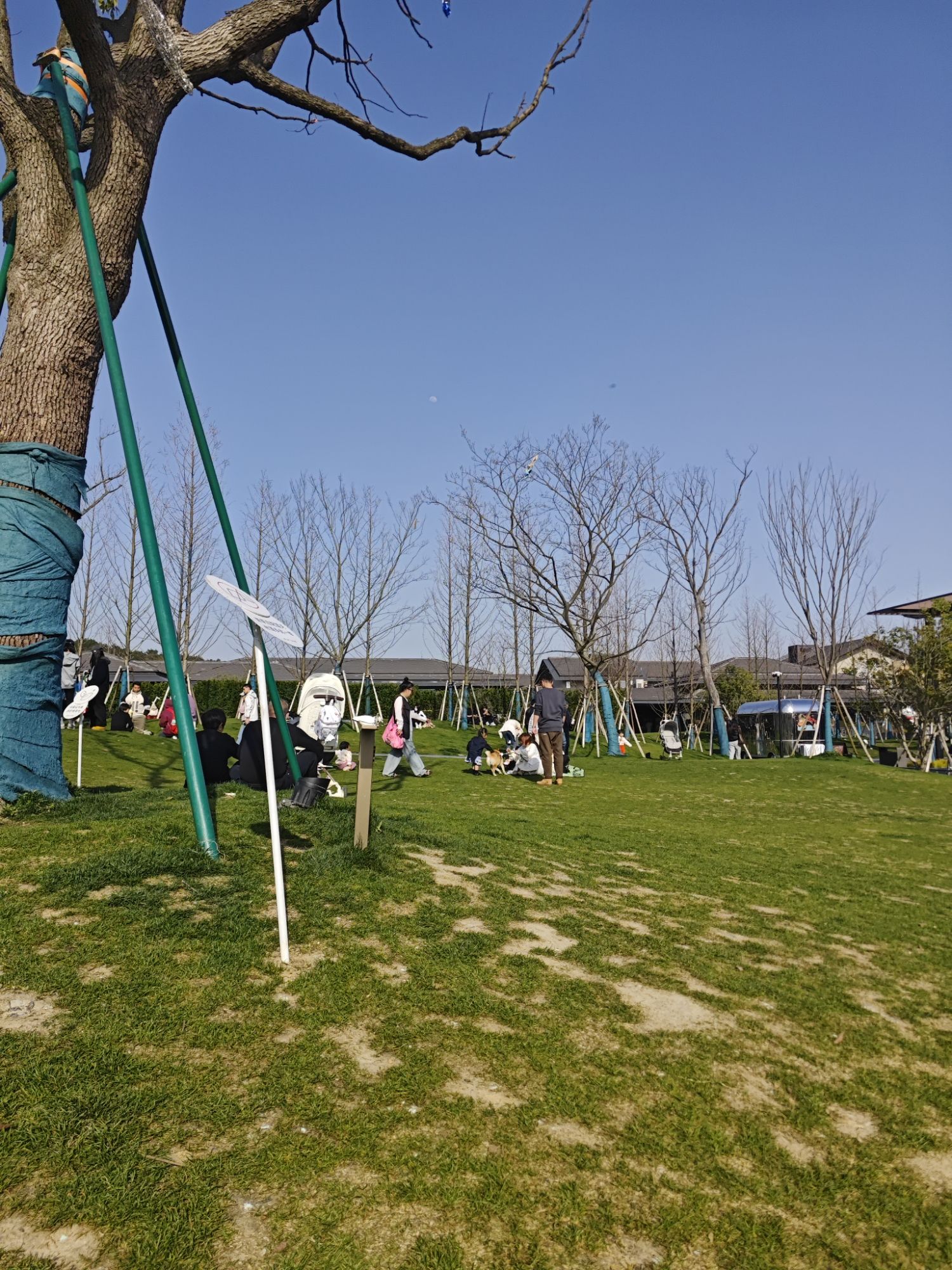 玉鸟集原野公园