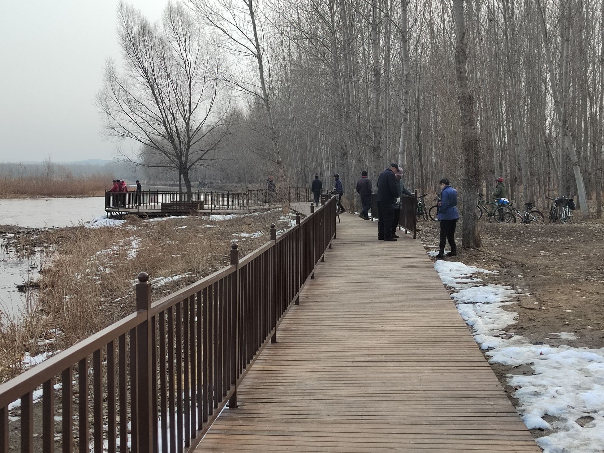 牤牛营天鹅驿站旅行图片