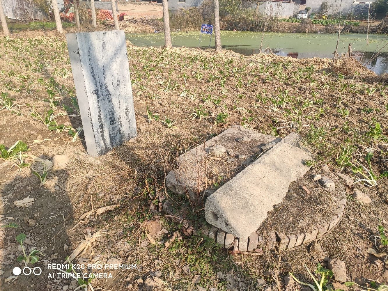 二龙井