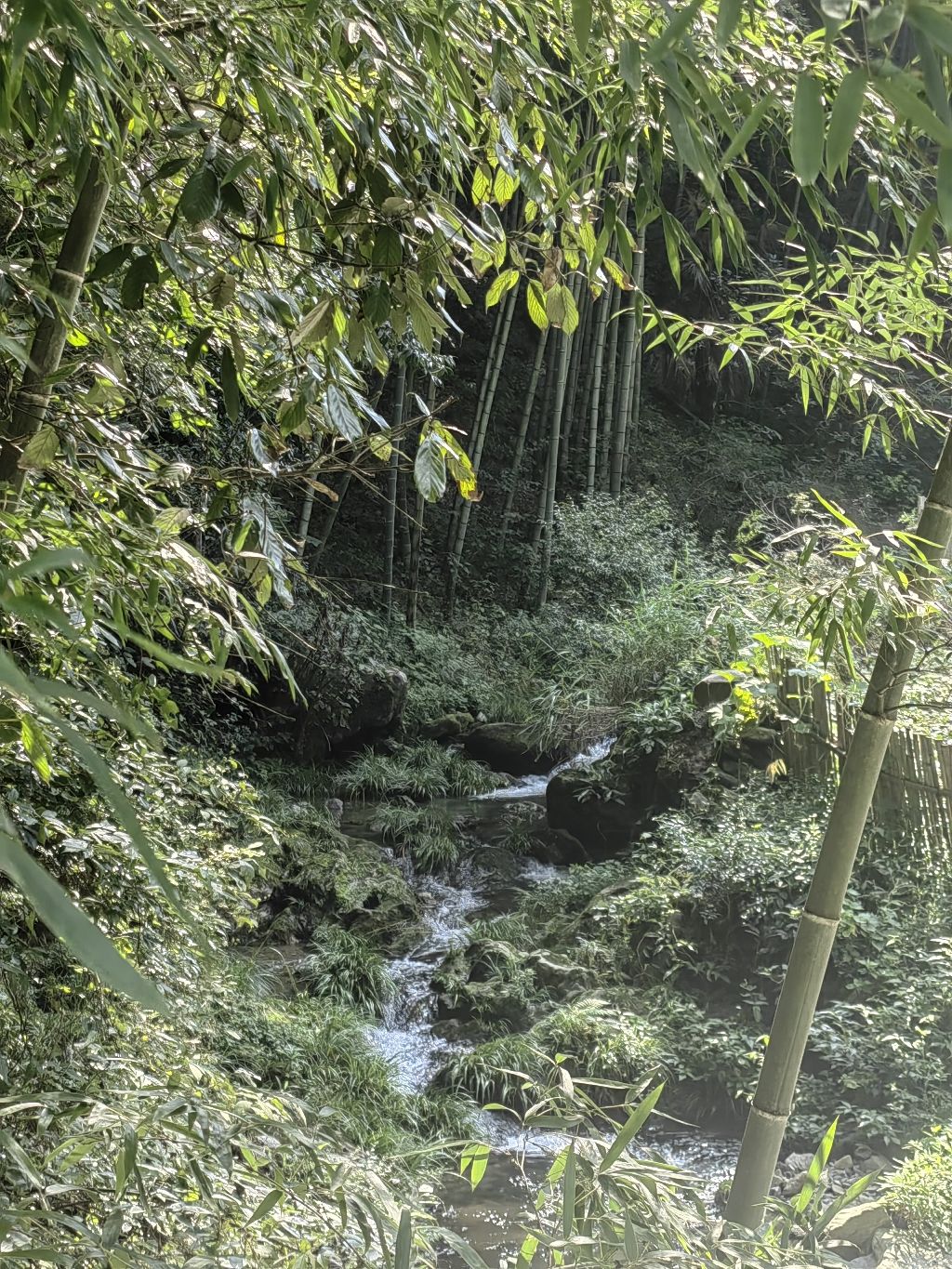 阊·昌江源