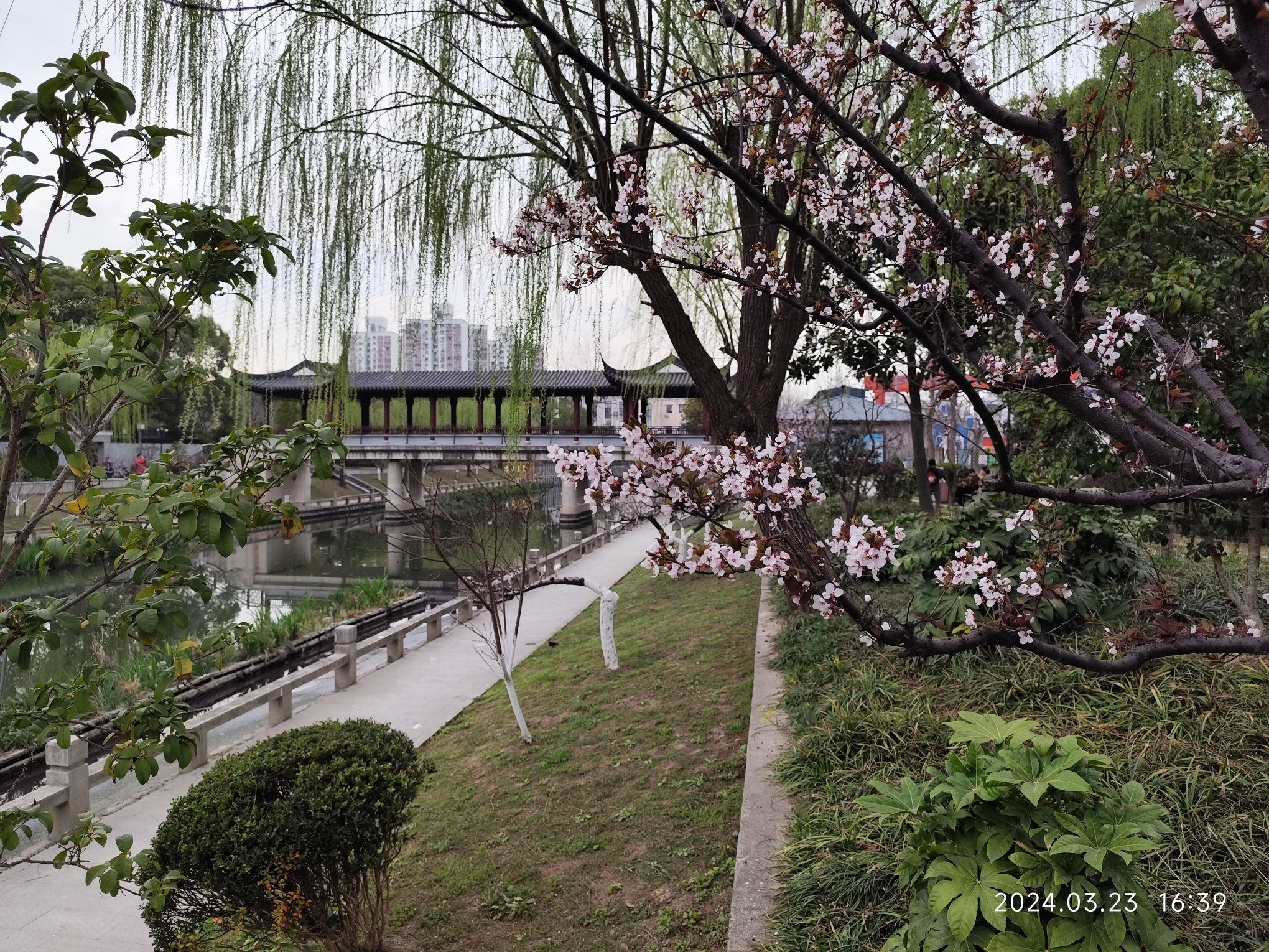 桃溪公园