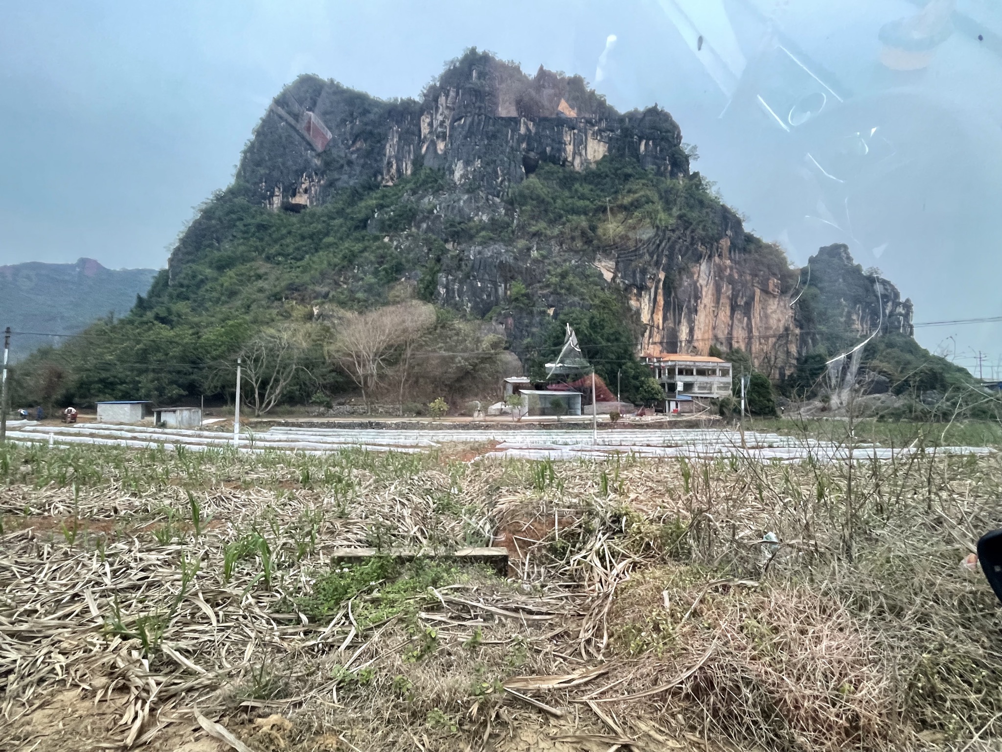 金猫银老鼠洞佛堂旅行图片