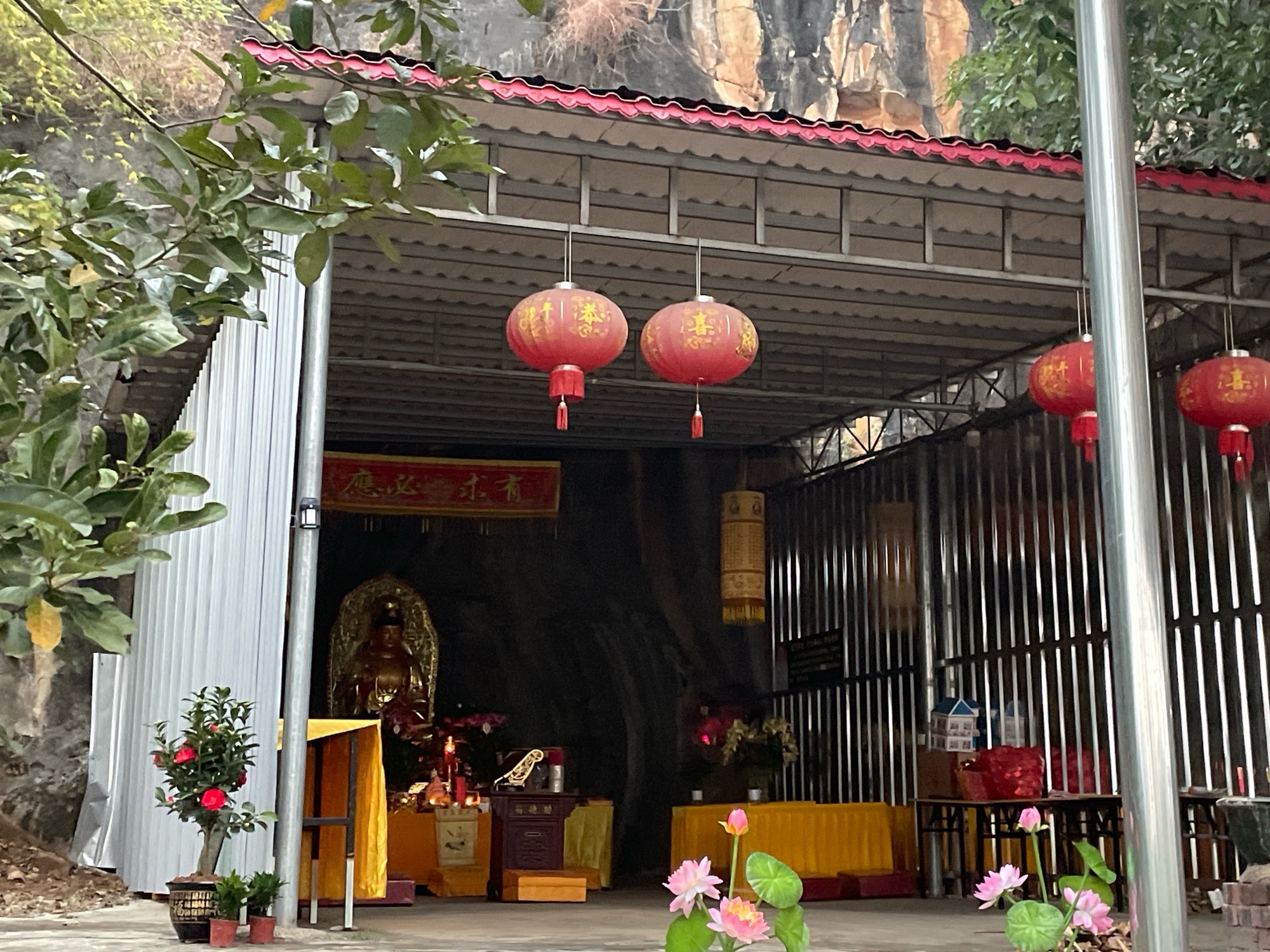 金猫银老鼠洞佛堂旅行图片