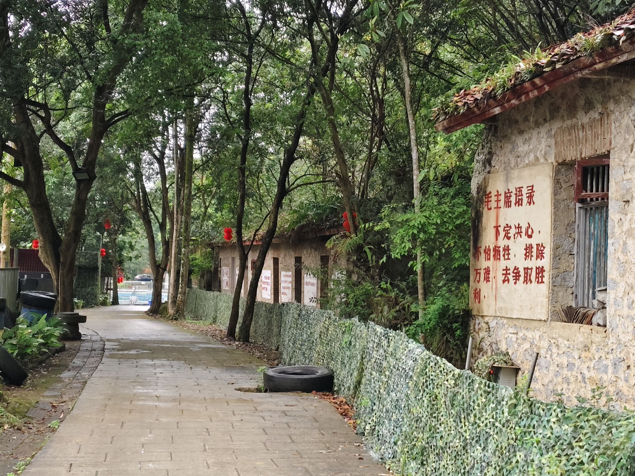 都康田园景区(暂停开放)旅行图片