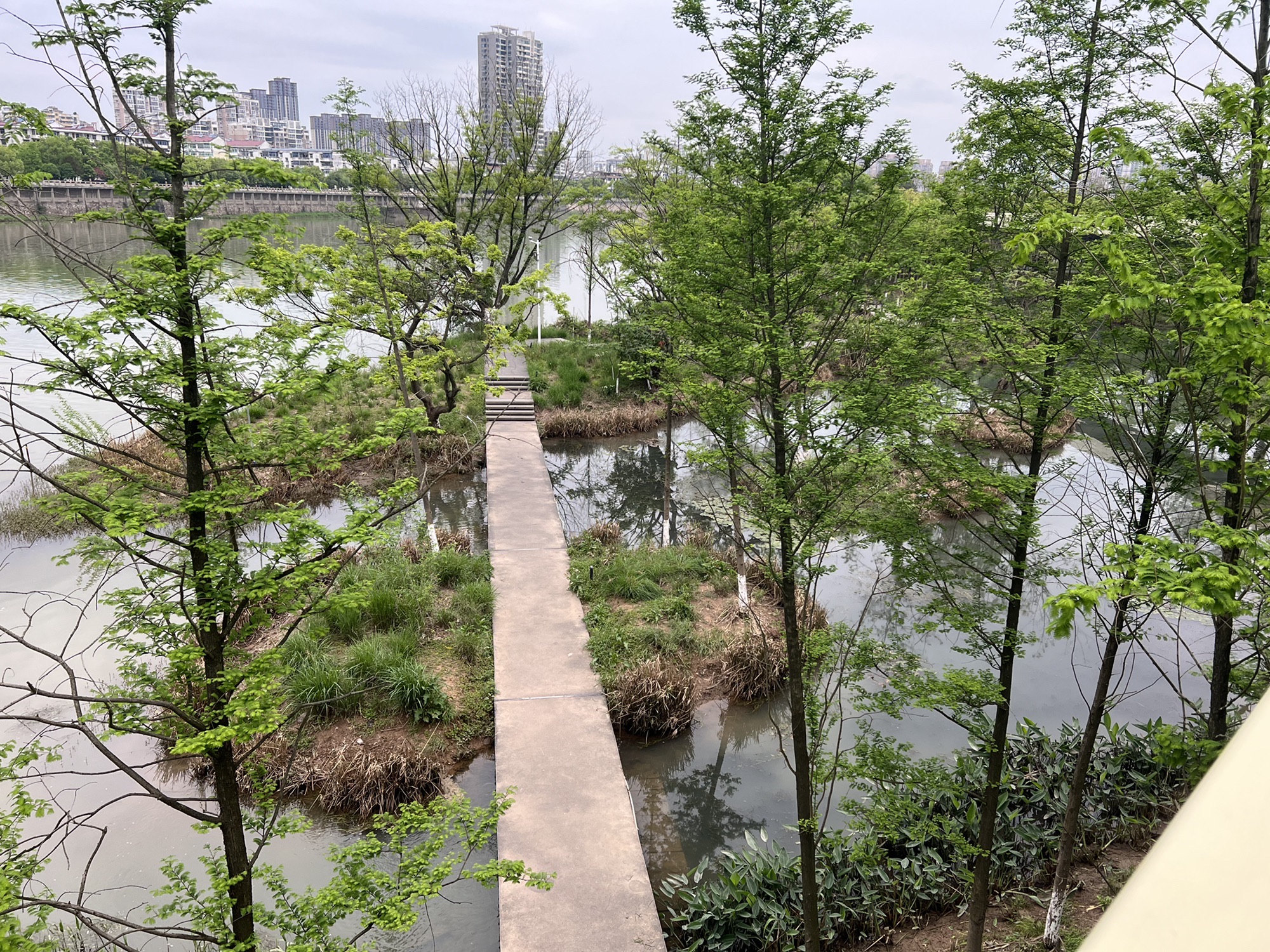 信江生态走廊旅行图片