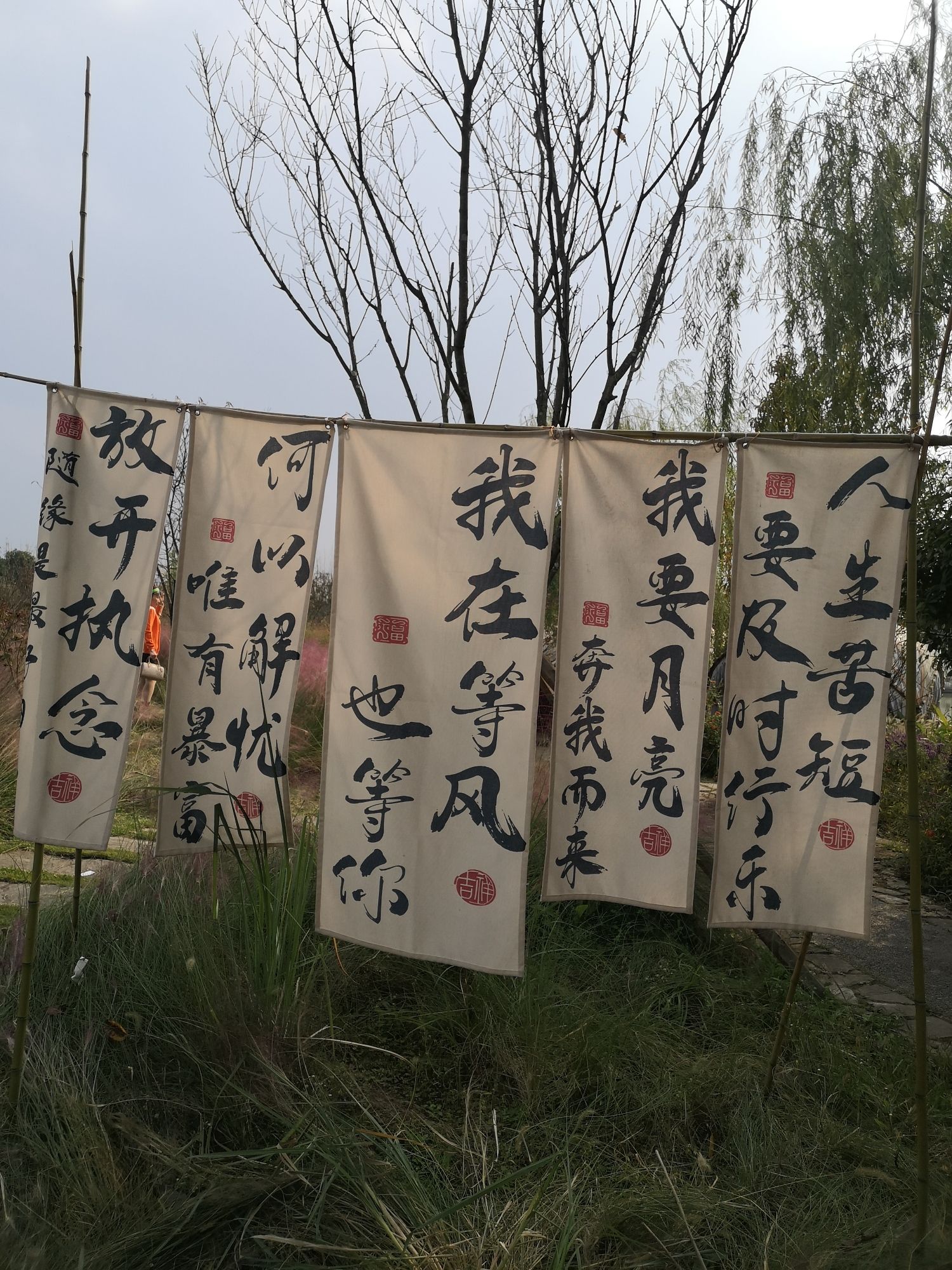 横山花湖景区旅行图片