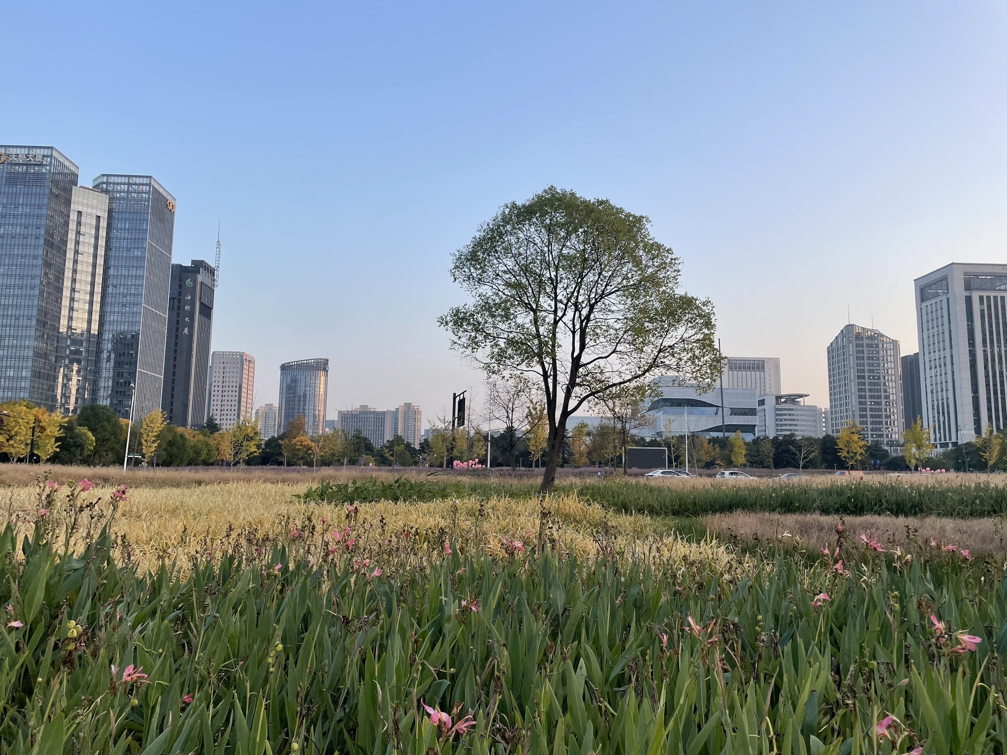 江畔绿地公园旅行图片