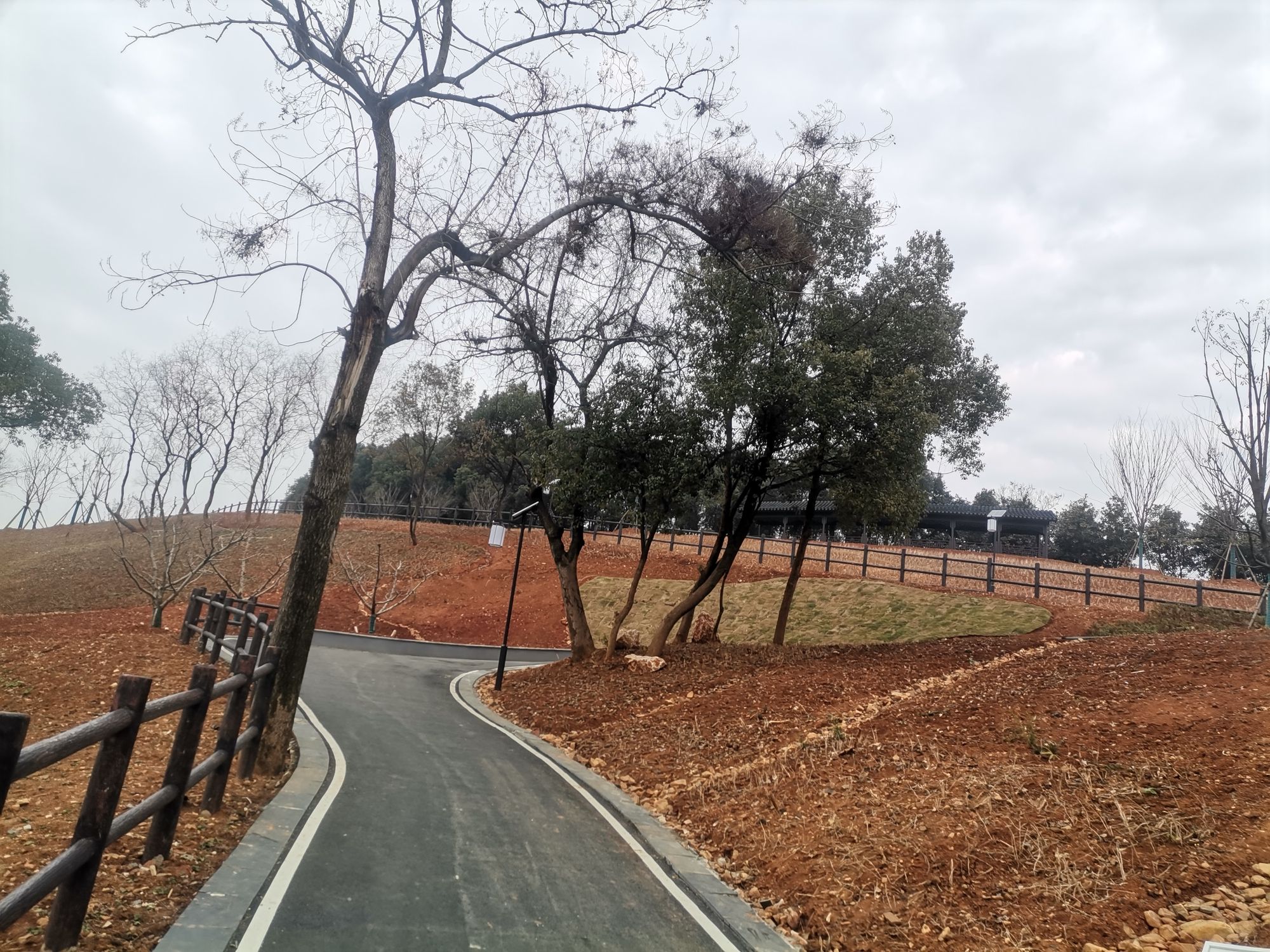 鹞山公园旅行图片