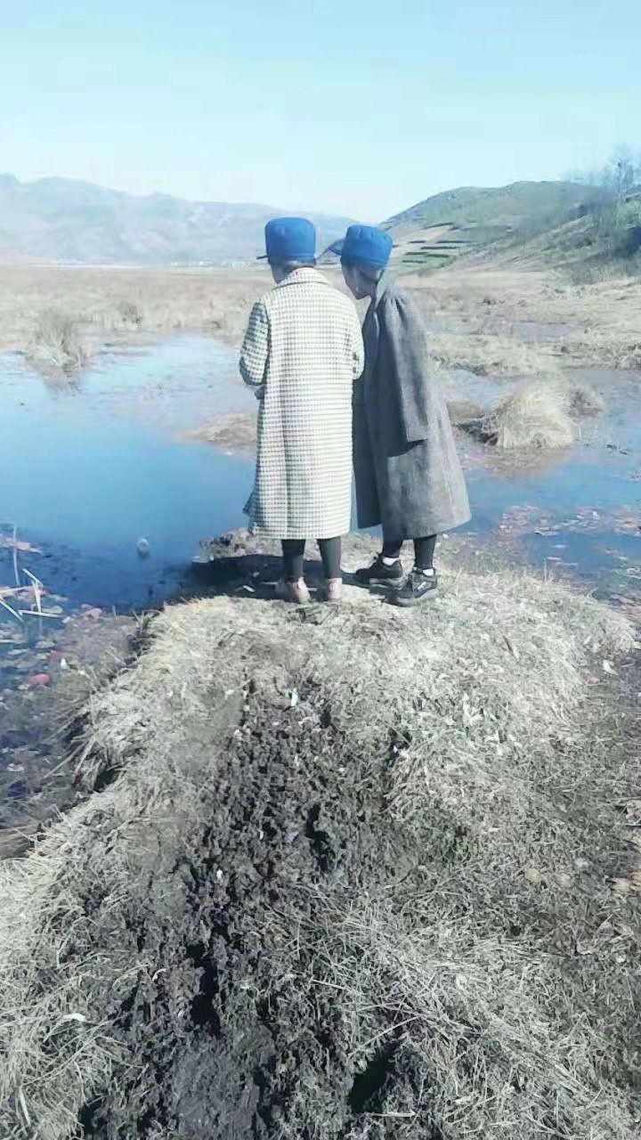 乐安湿地旅行图片
