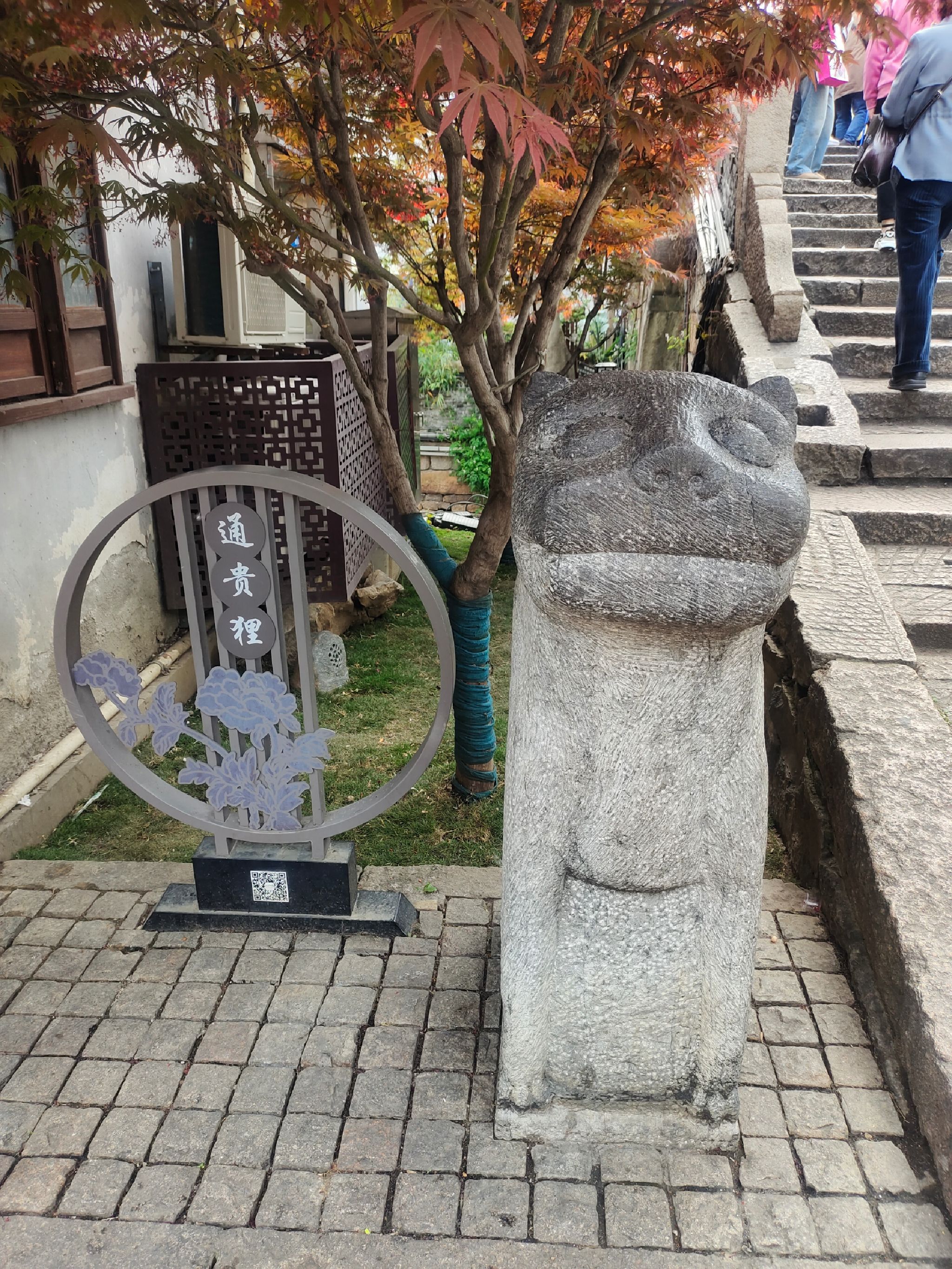 通贵狸