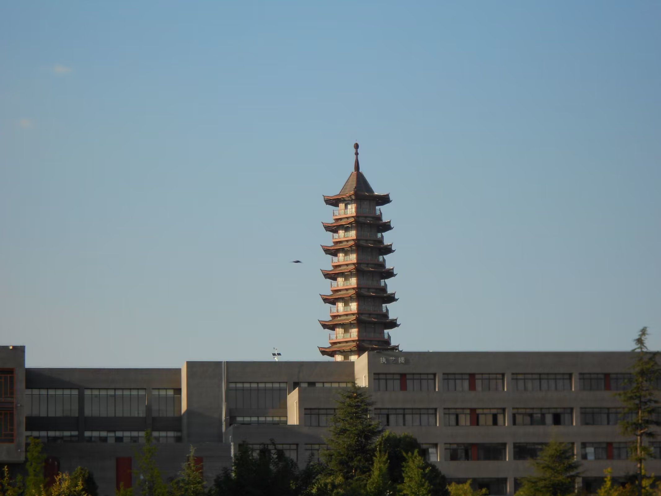 星耀塔