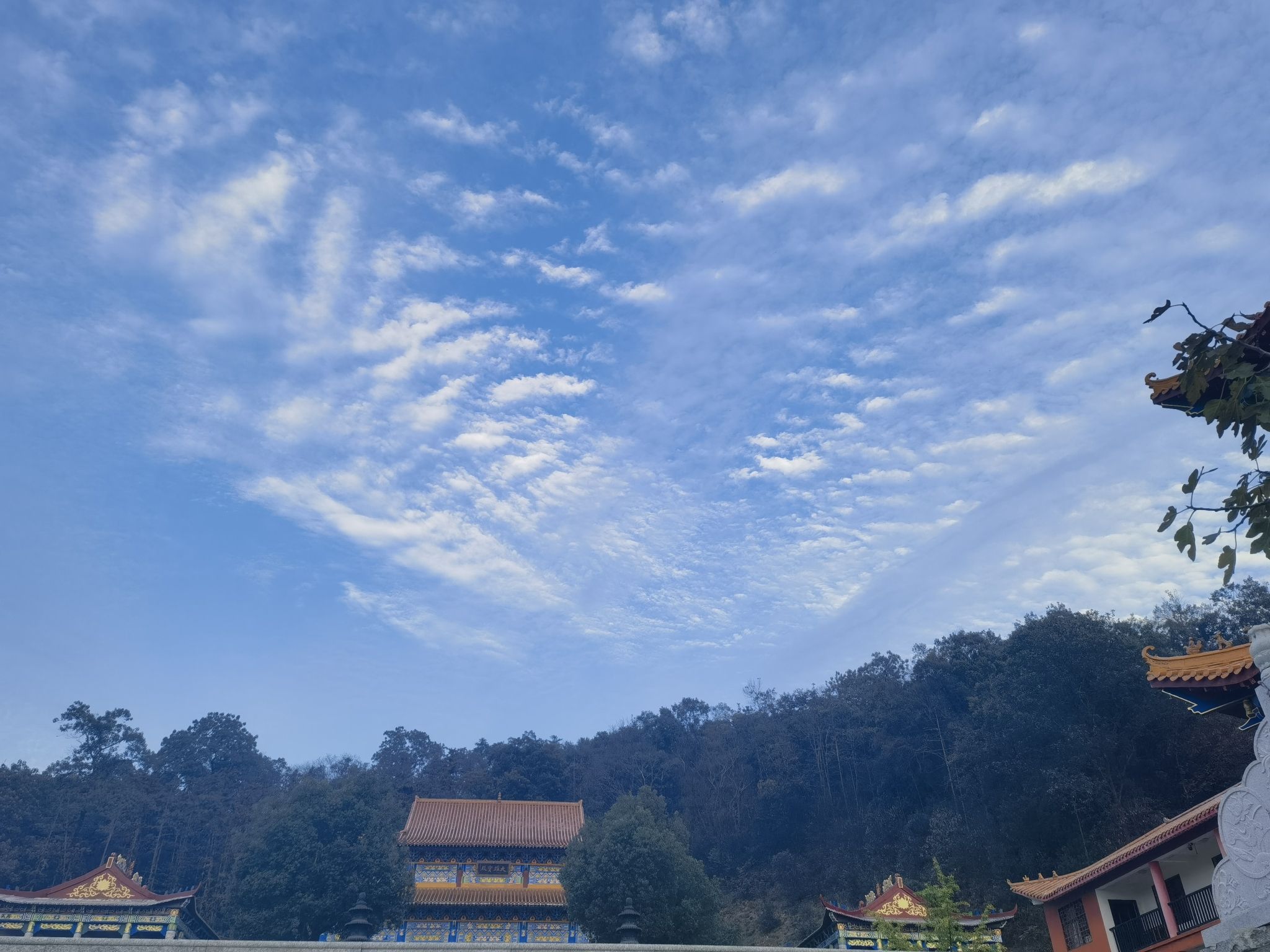 津市市嘉山禅寺旅行图片