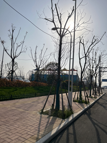 山南儿童公园
