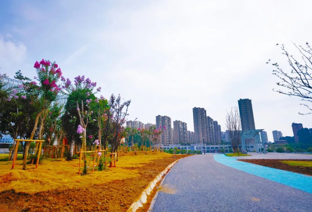 景德镇市市民公园