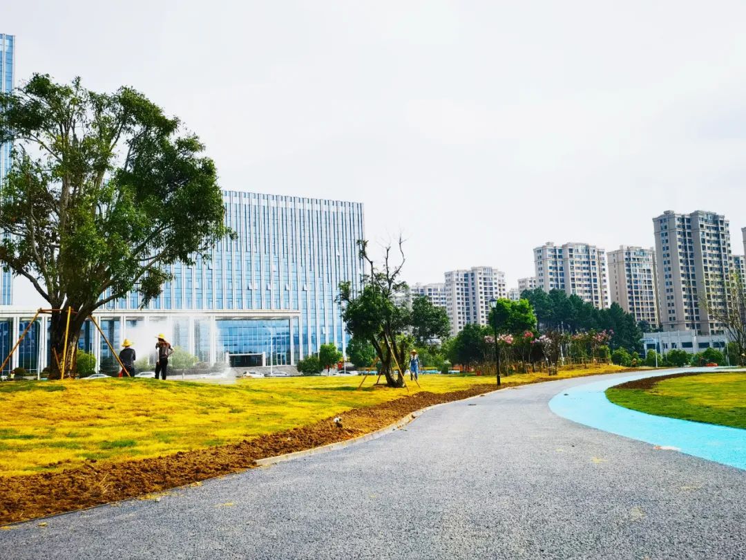景德镇市市民公园旅行图片