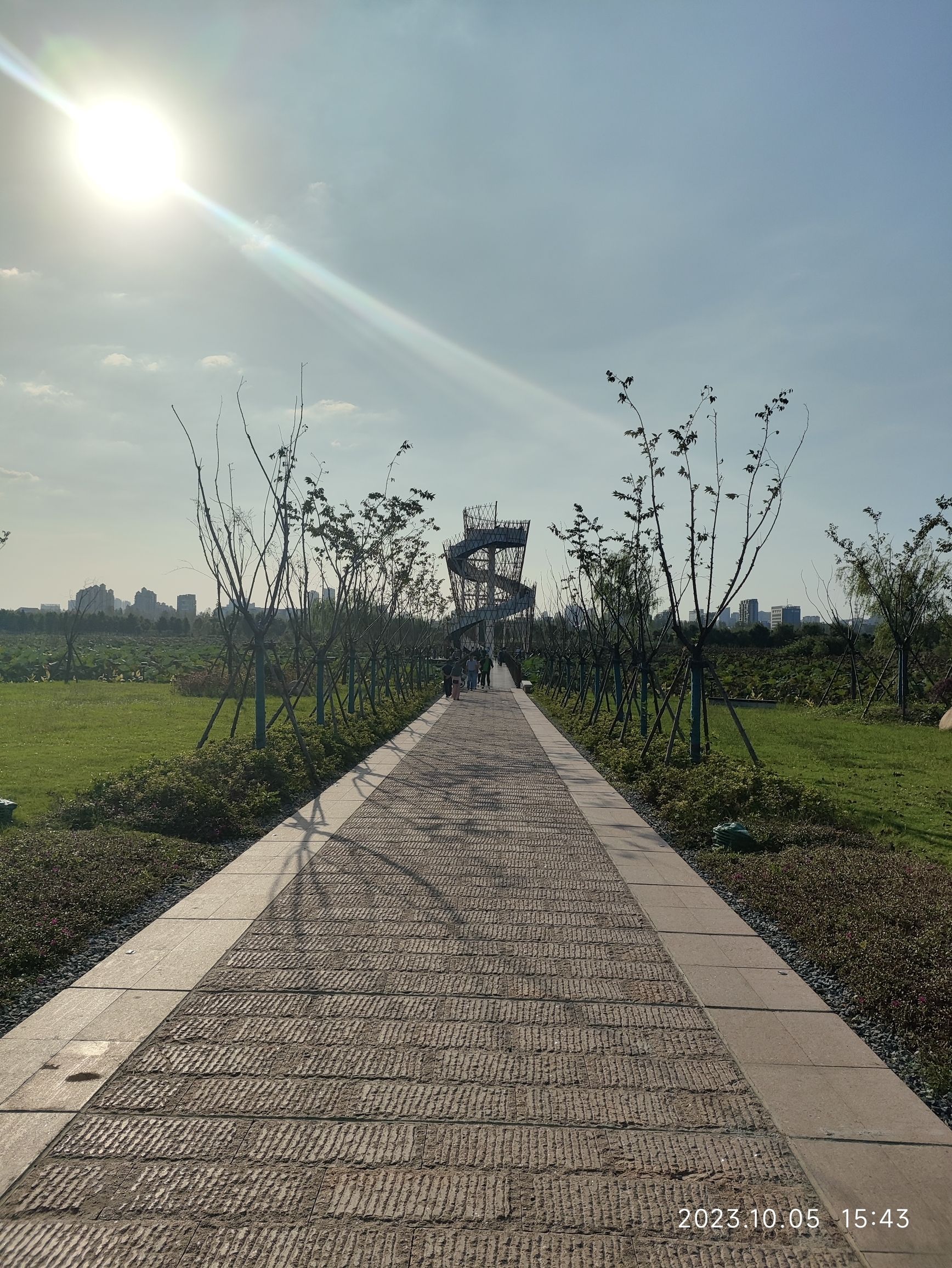 平天湖观鸟台旅行图片