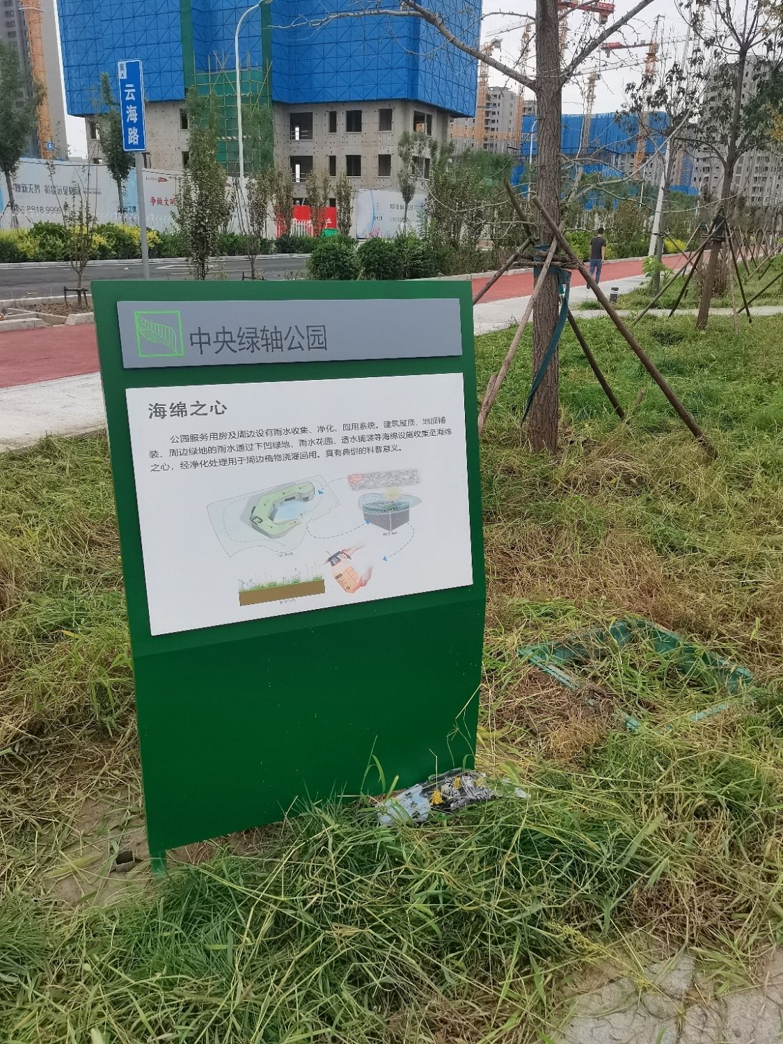 中央绿轴公园海绵之心