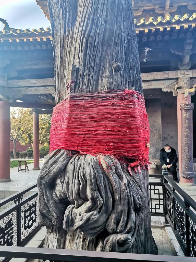 运城关公故里文化旅游景区旅行图片