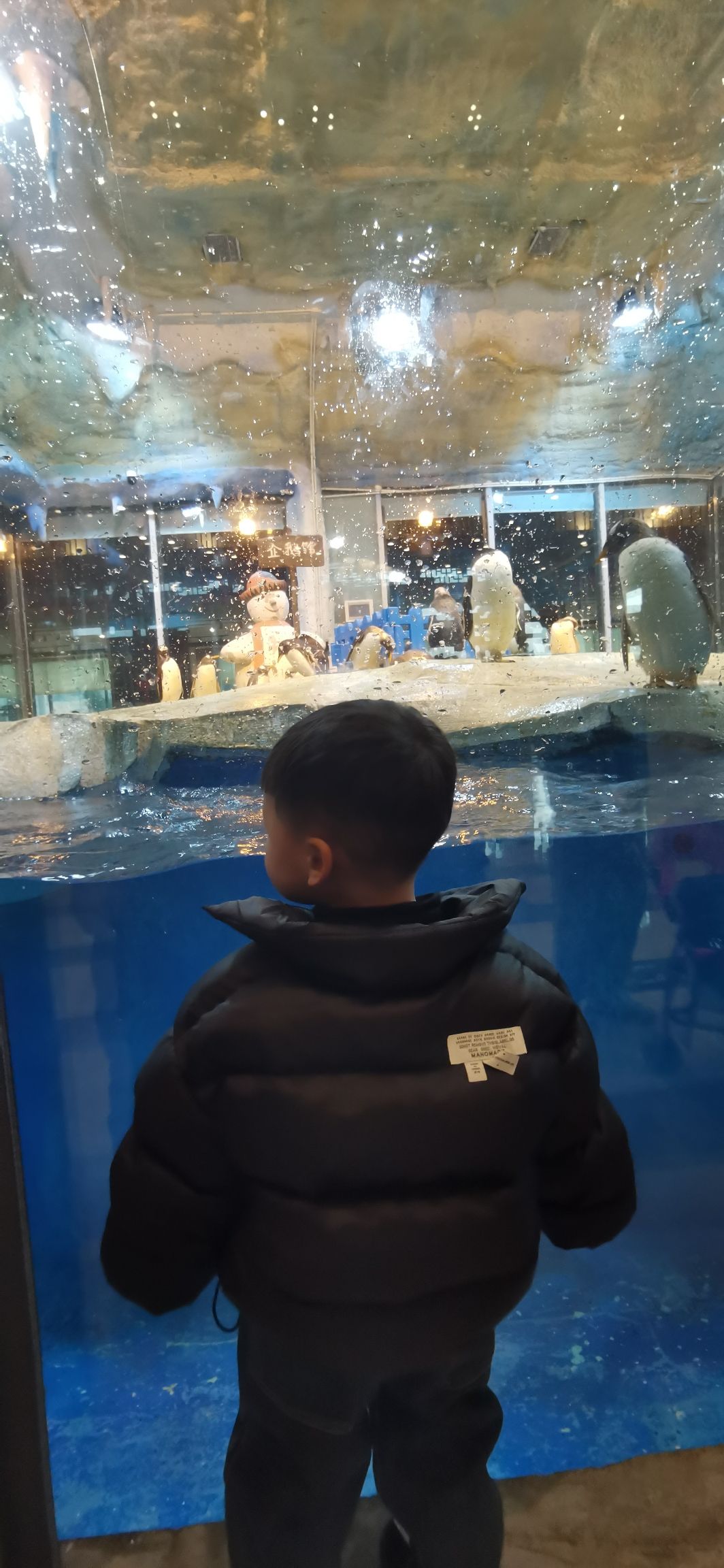 龙之梦企鹅馆