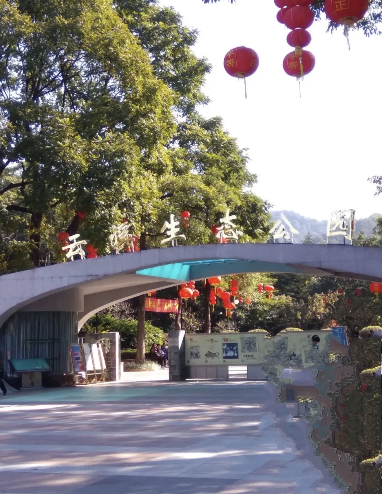 云溪公园旅行图片