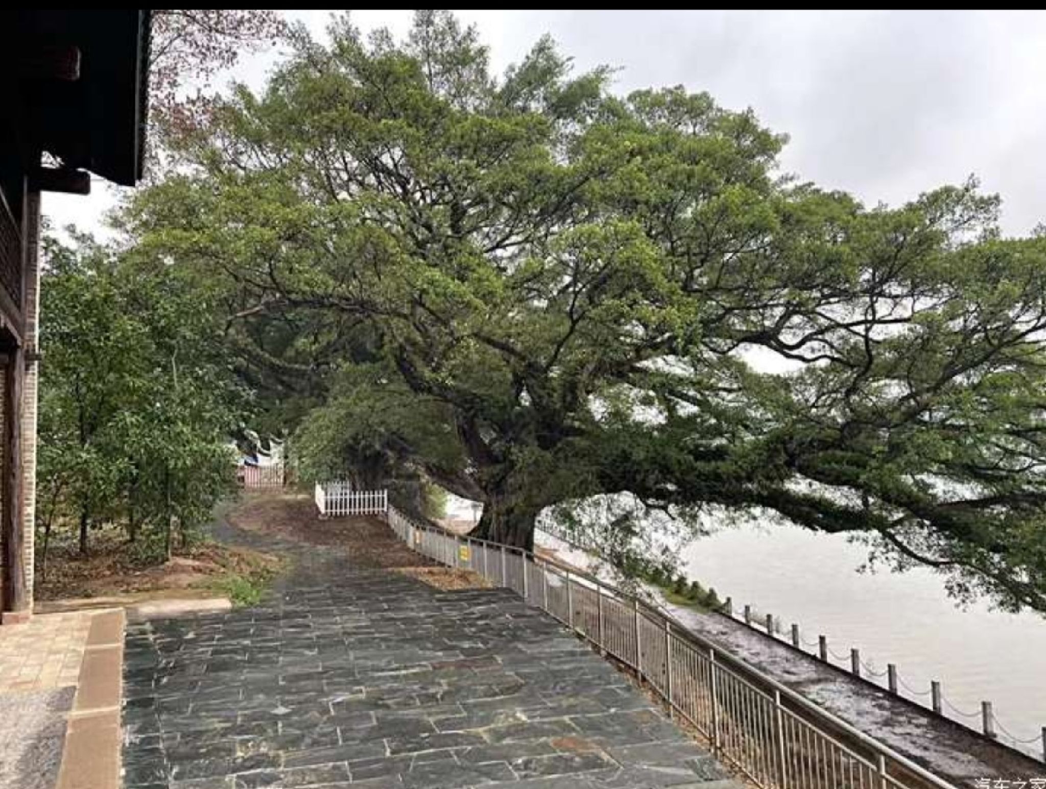 山峰坝香樟园