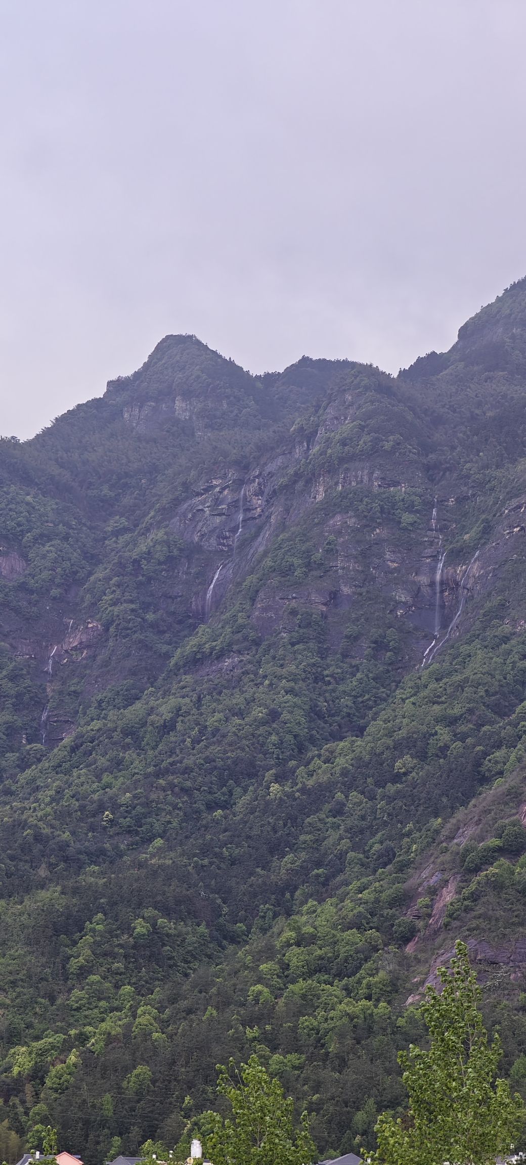 万杉寺观景台旅行图片