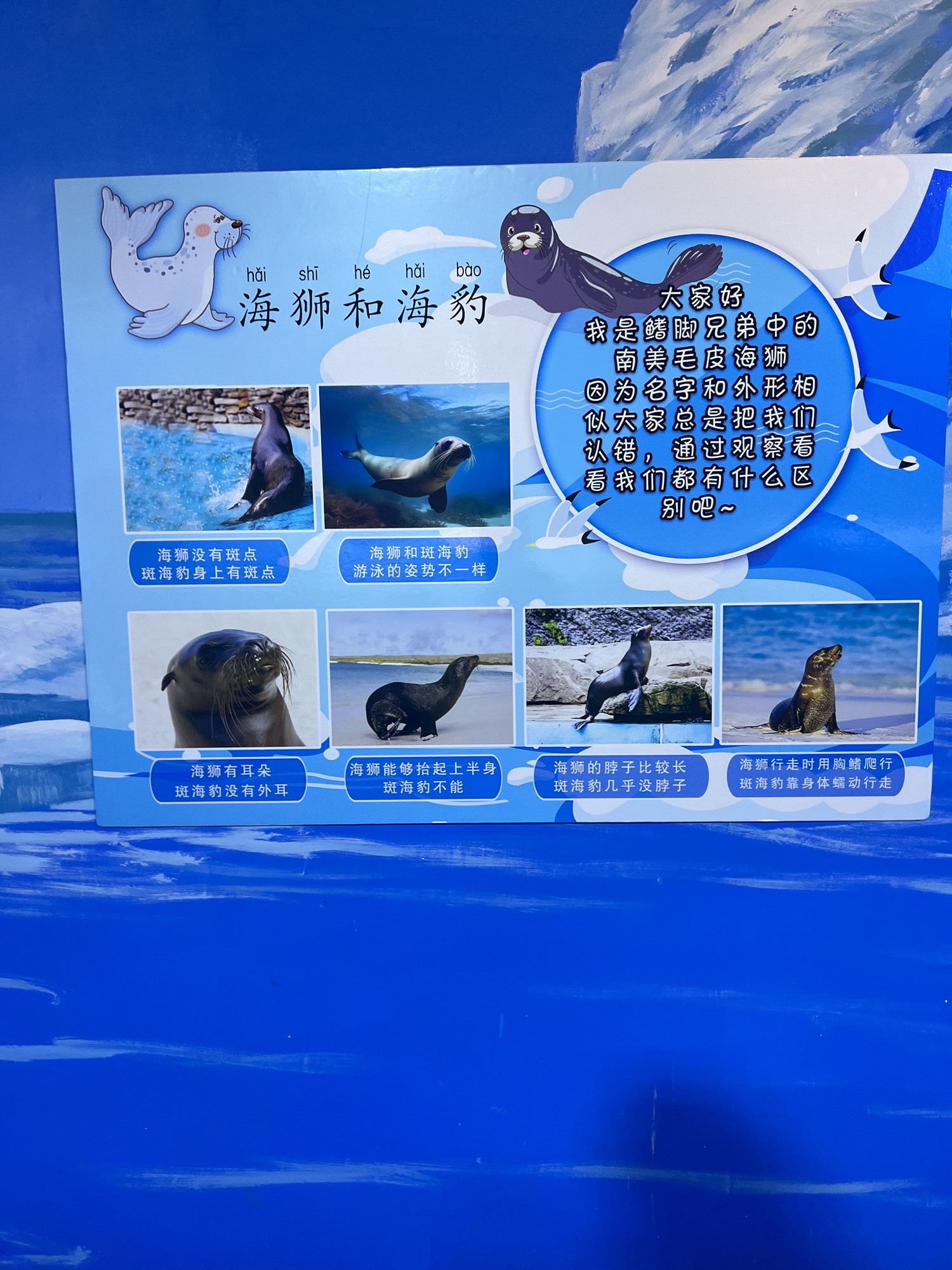 呼和浩特海洋馆