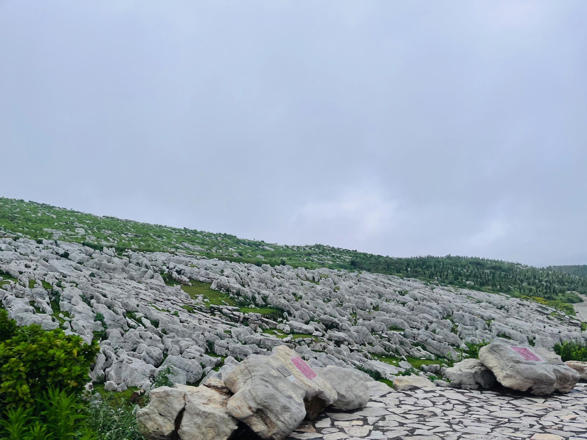 万马奔腾旅行图片