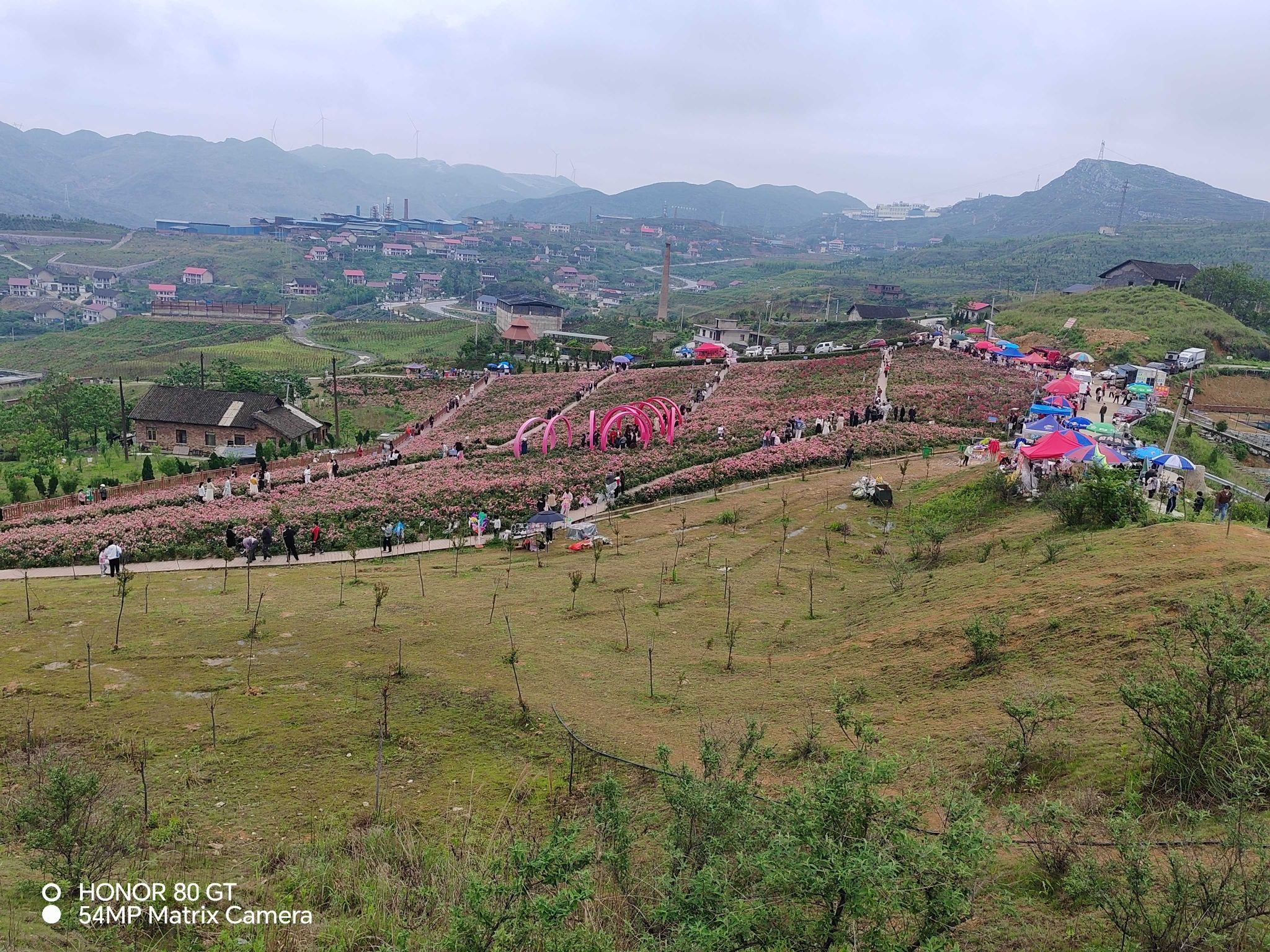 玫瑰爱琴海旅行图片