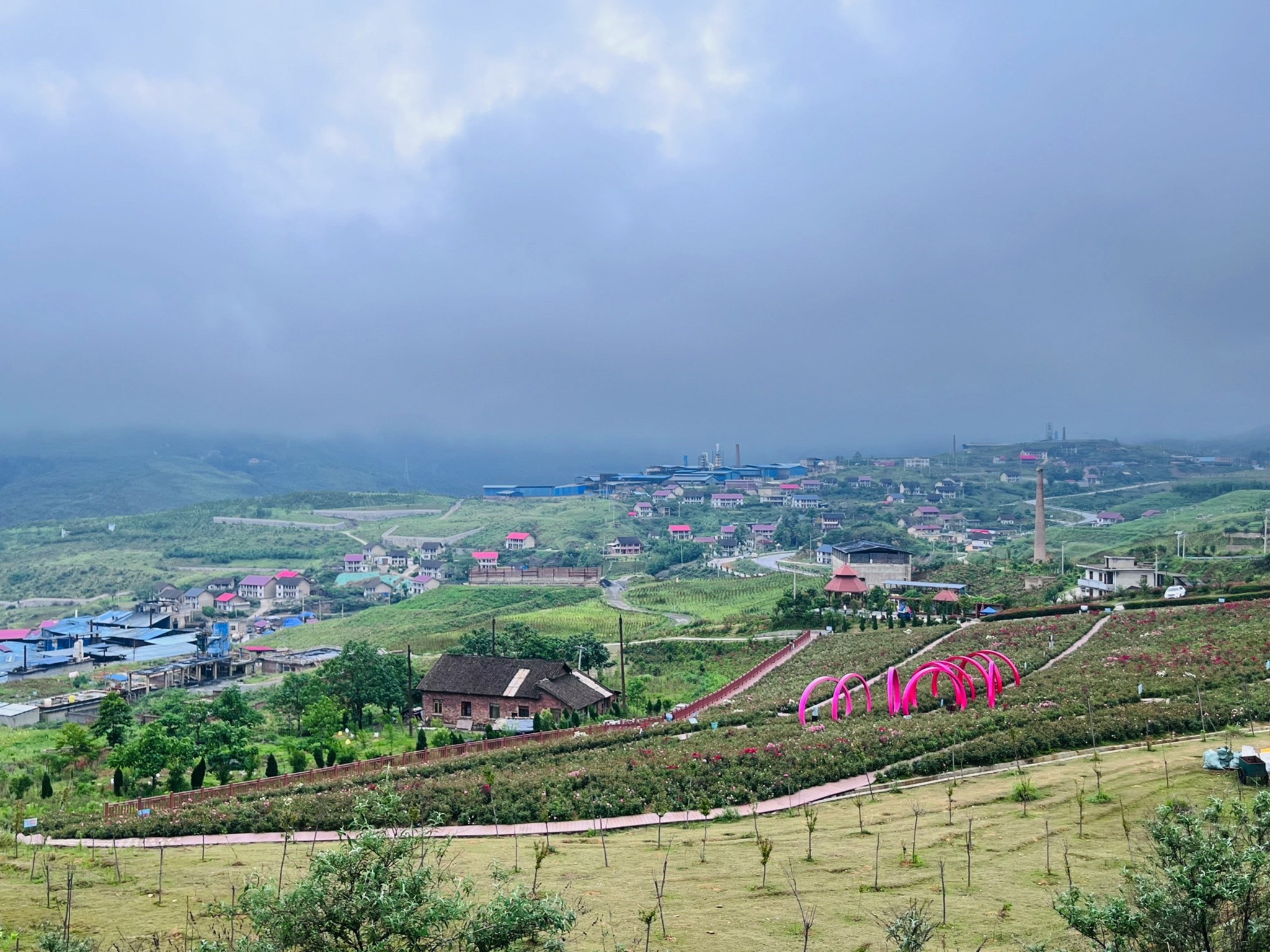 玫瑰爱琴海旅行图片