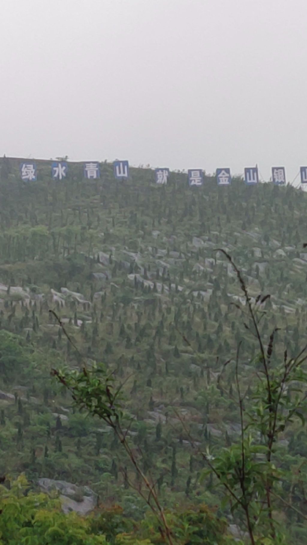 玫瑰爱琴海旅行图片
