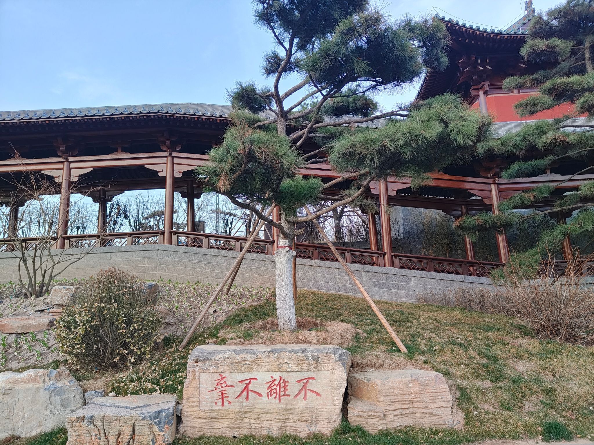 汾河雁丘园旅行图片