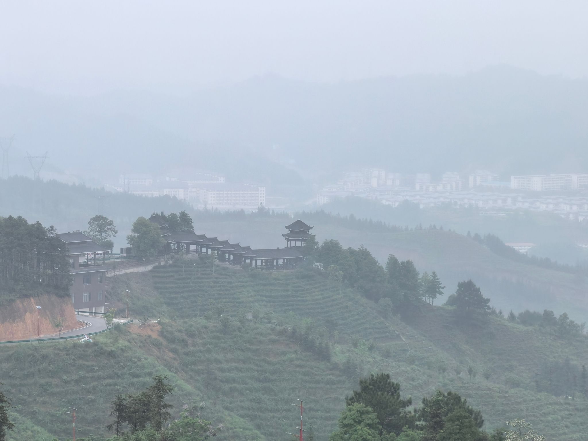 万亩茶园旅行图片