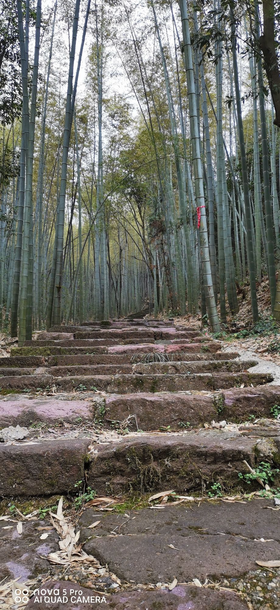 铅山县鹅湖山国家森林公园