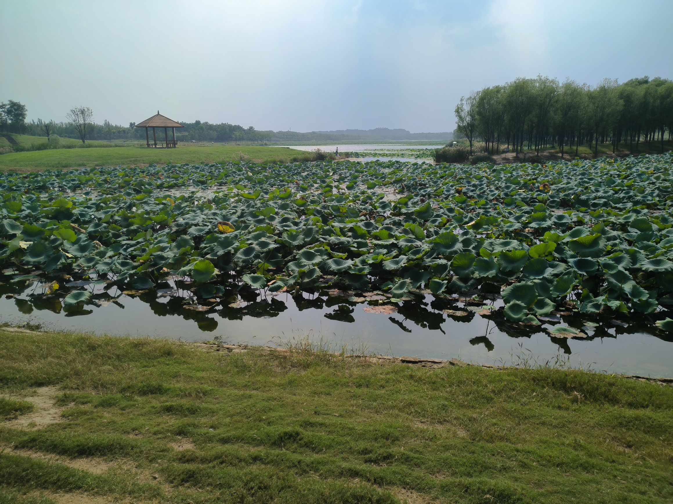 玉带湖旅行图片