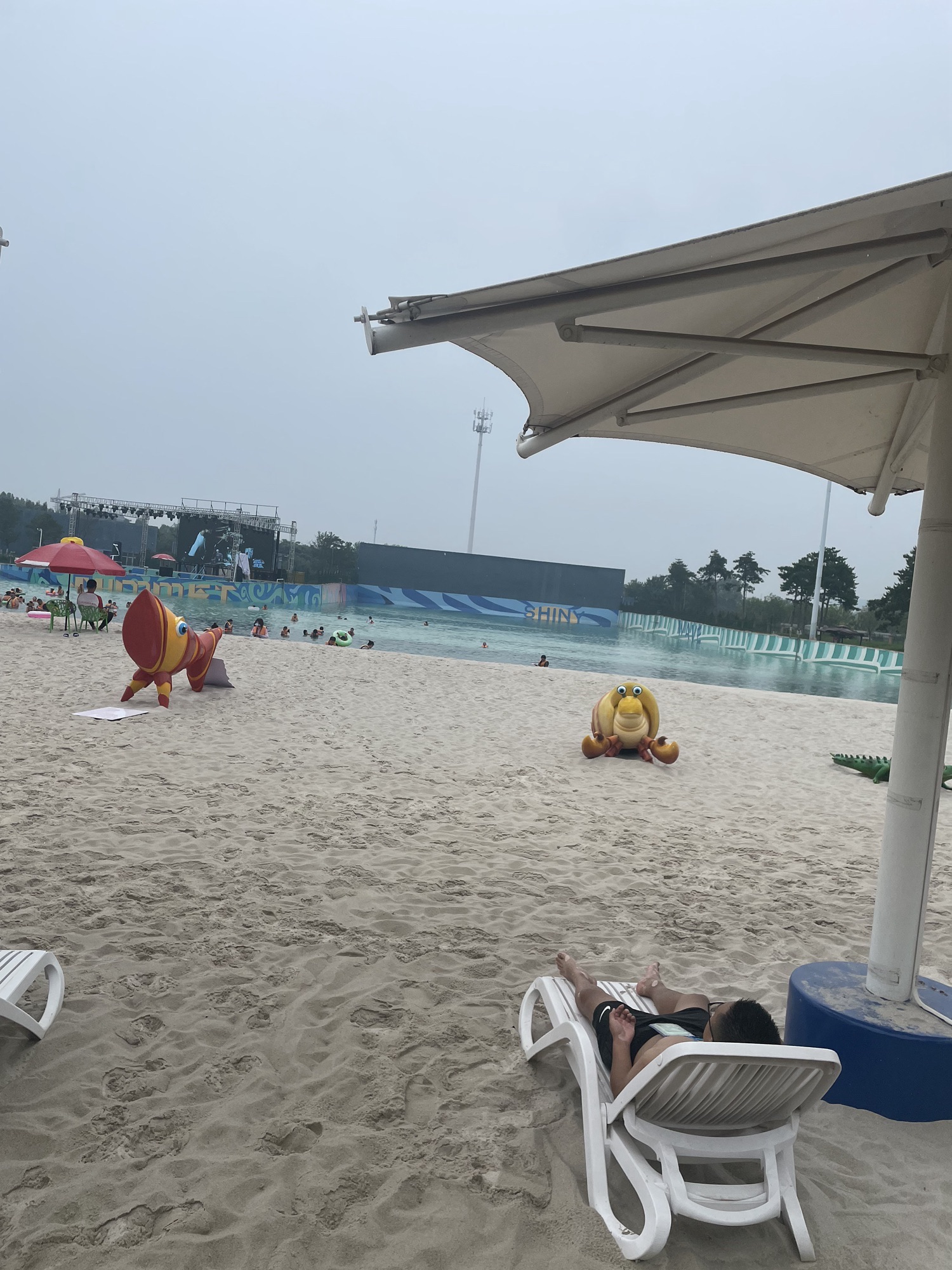 齐河黄河国际生态城旅游度假区旅行图片