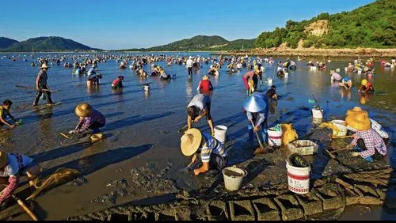 瓦晒湾免费网红赶海圣地旅行图片